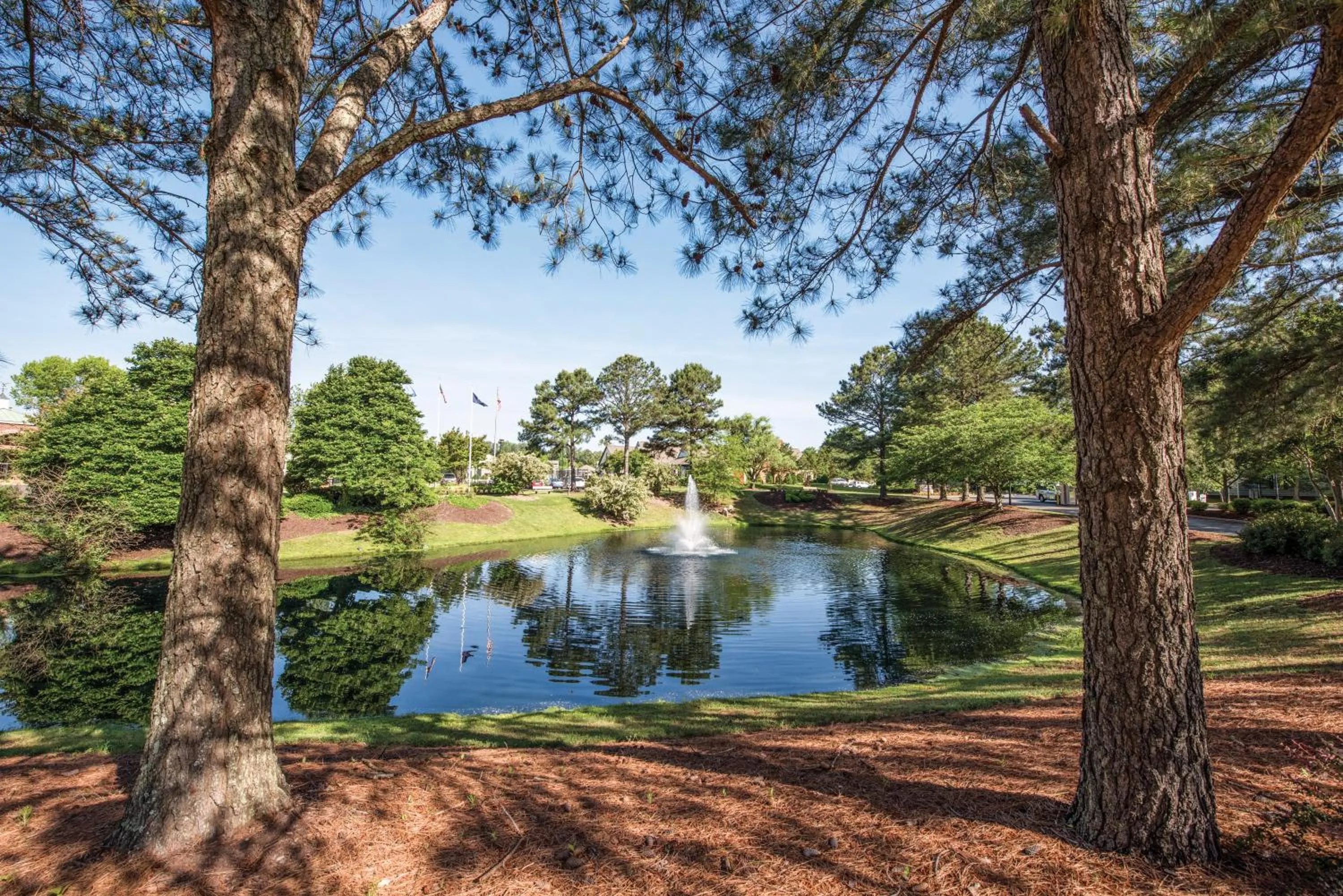 Other in Club Wyndham Kingsgate