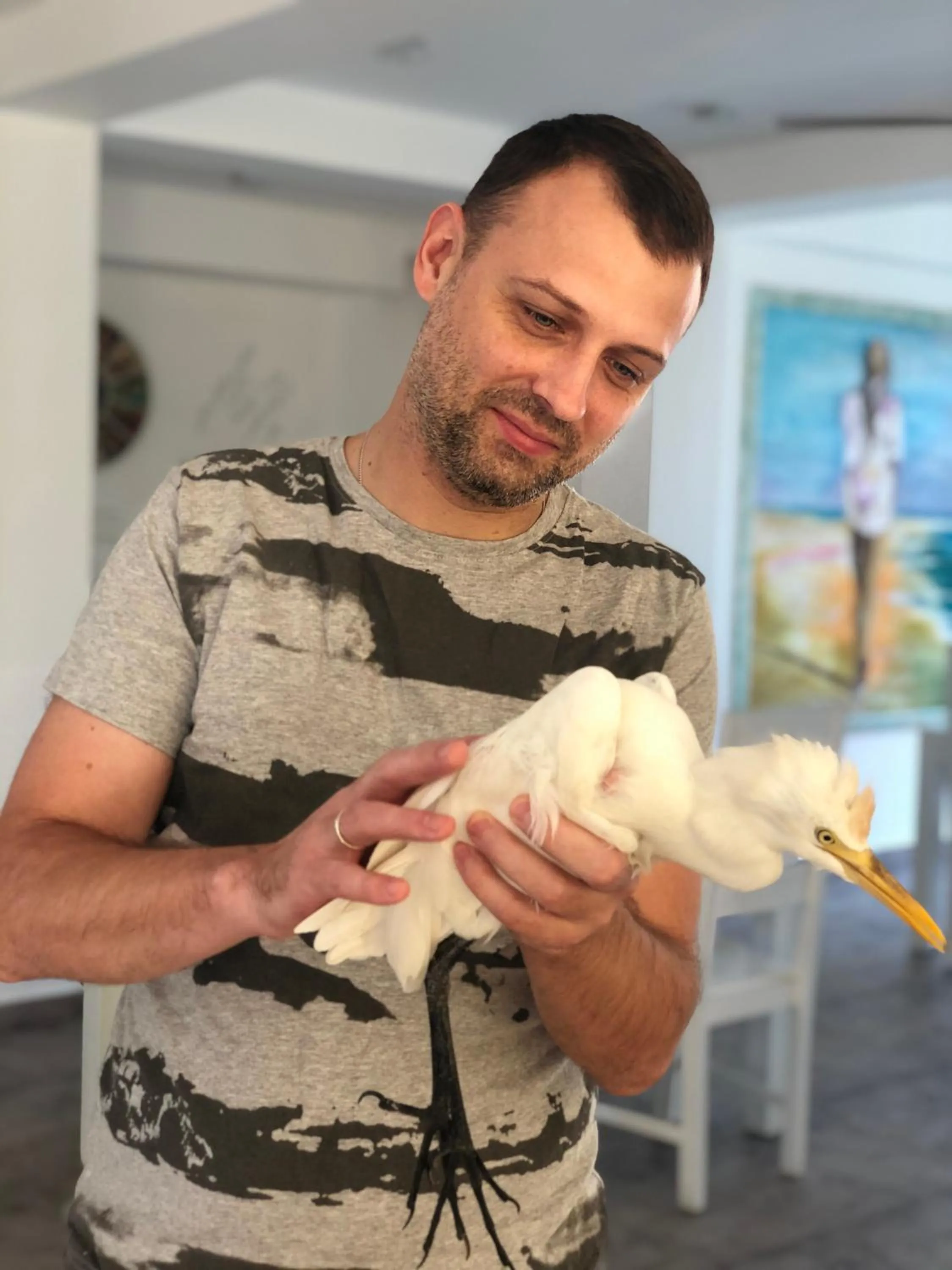 Animals in de MODA Boutique Hotel Galle