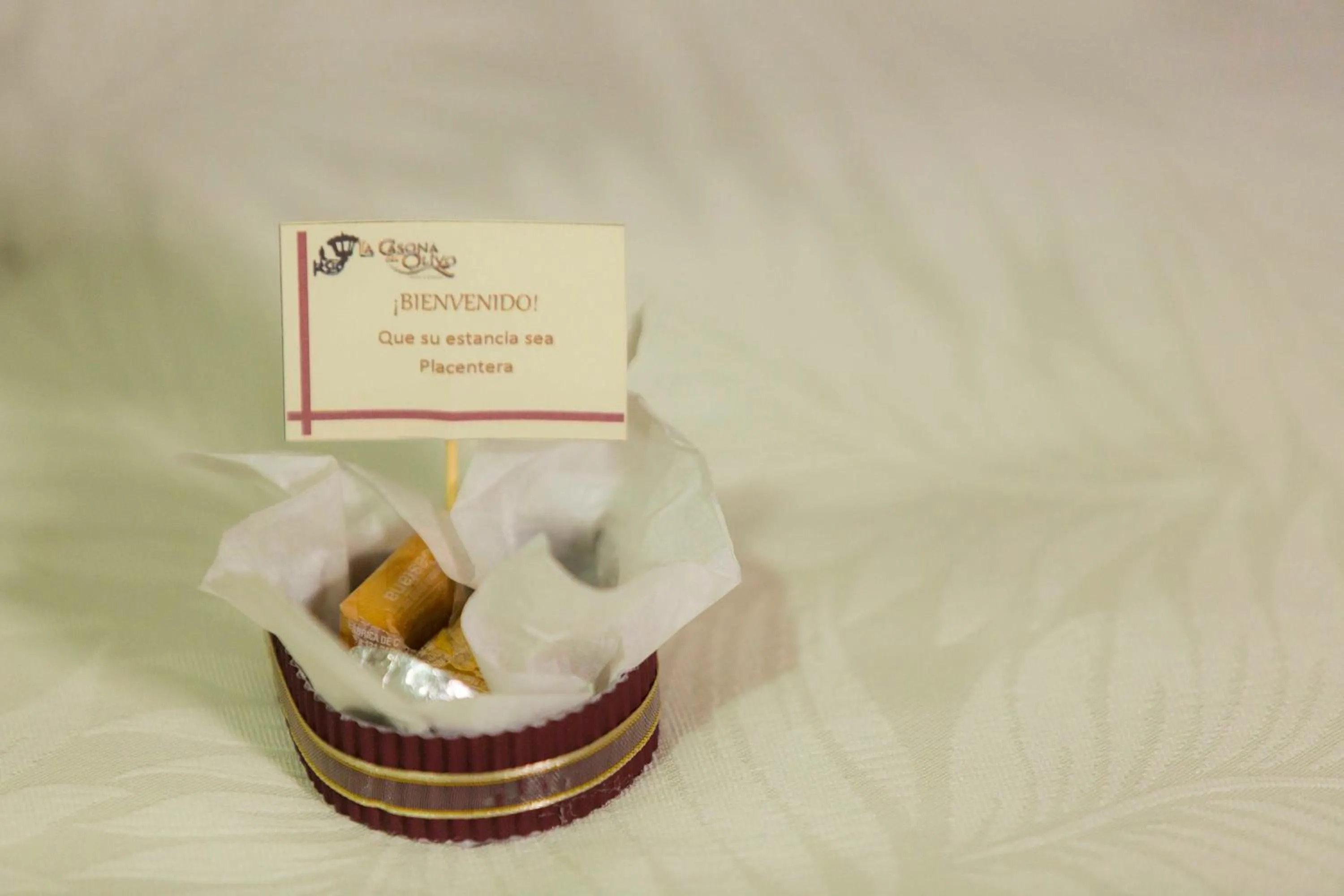 Hotel La Casona Del Olivo Arequipa