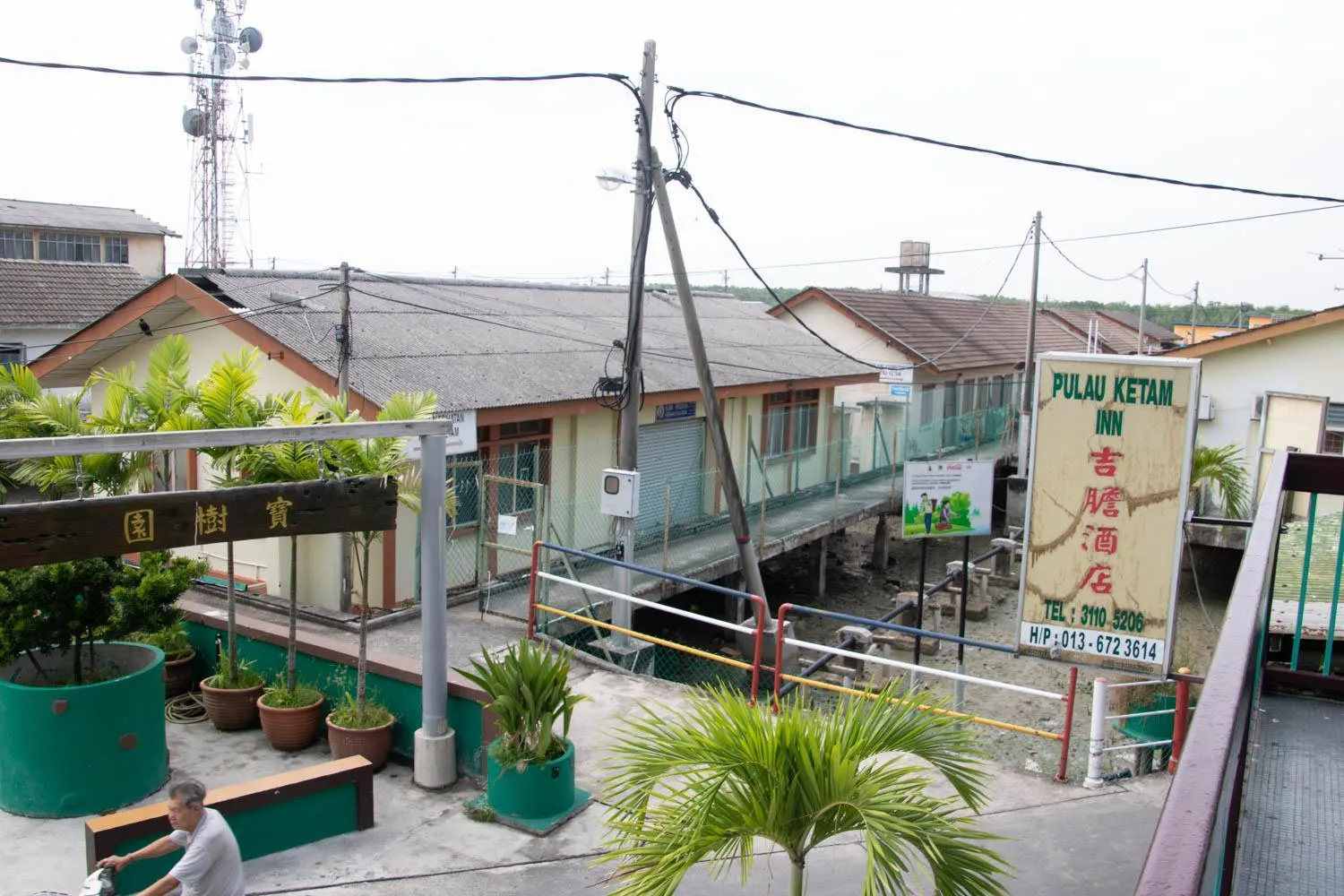 Sea Lion Pulau Ketam Inn