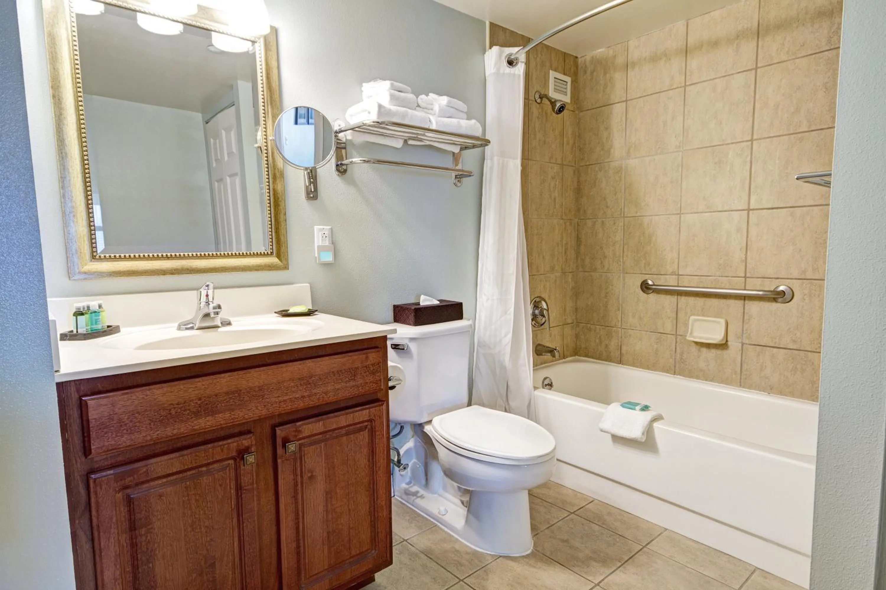 Bathroom in Club Wyndham Skyline Tower