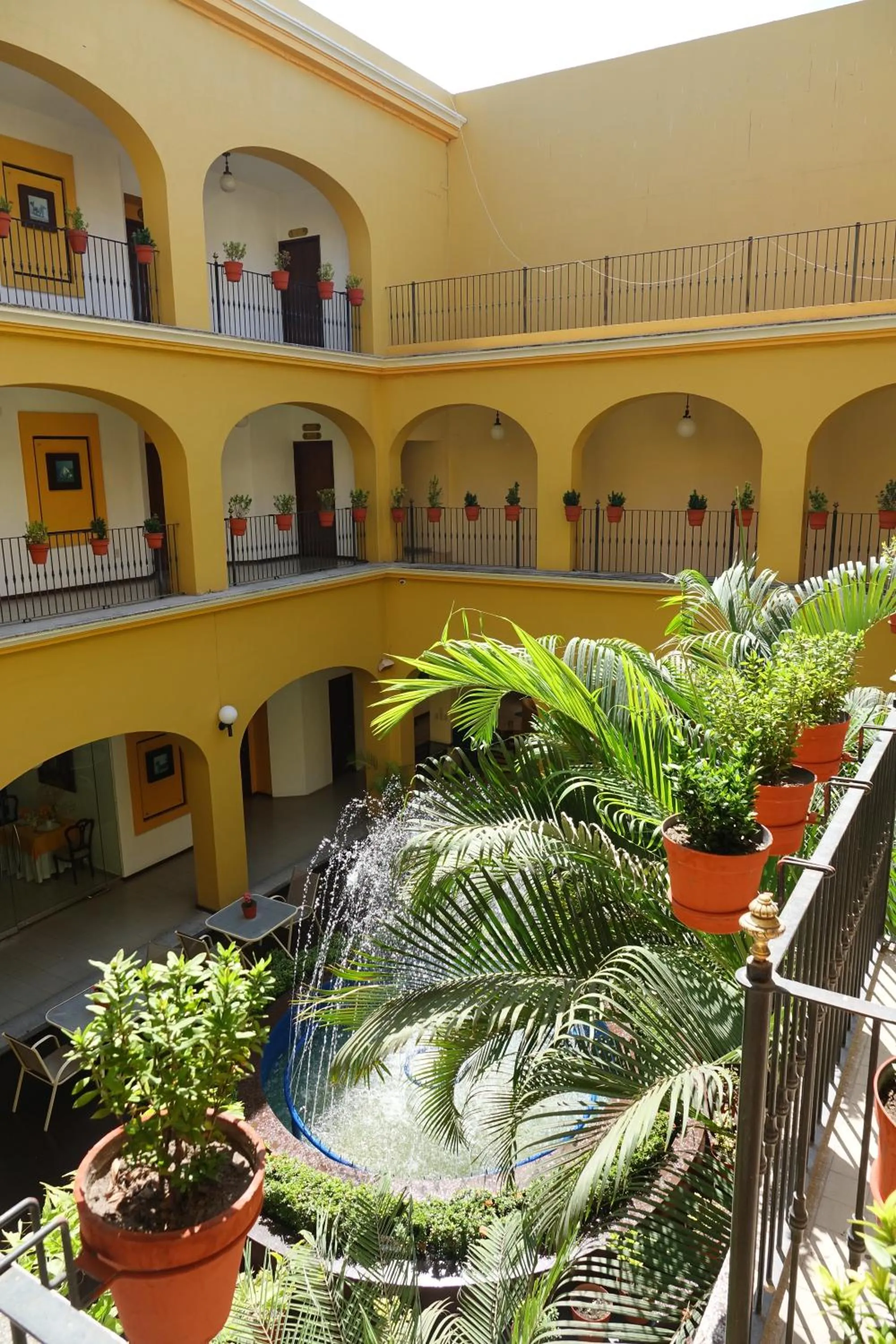 Garden in Hotel America