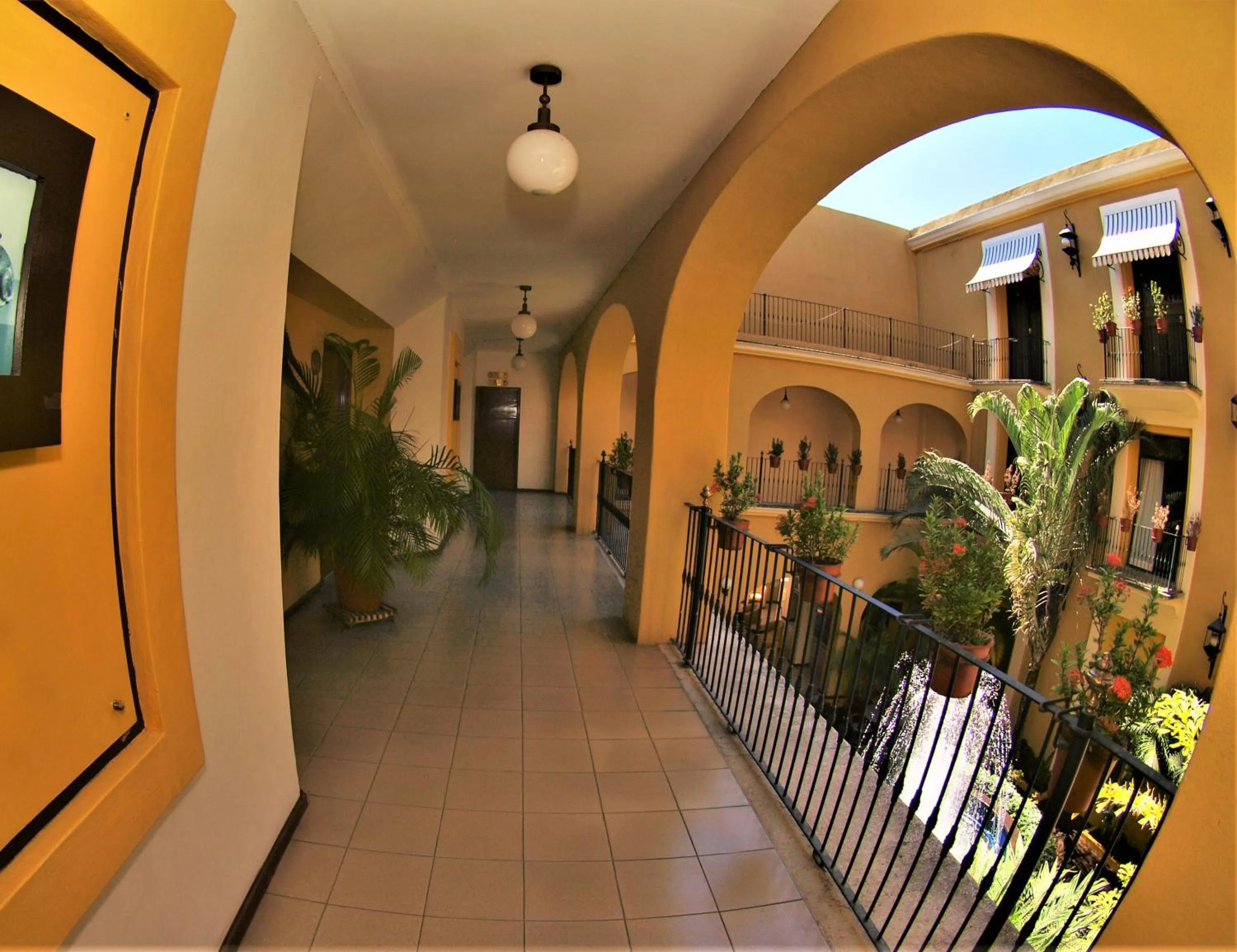 Balcony/Terrace in Hotel America