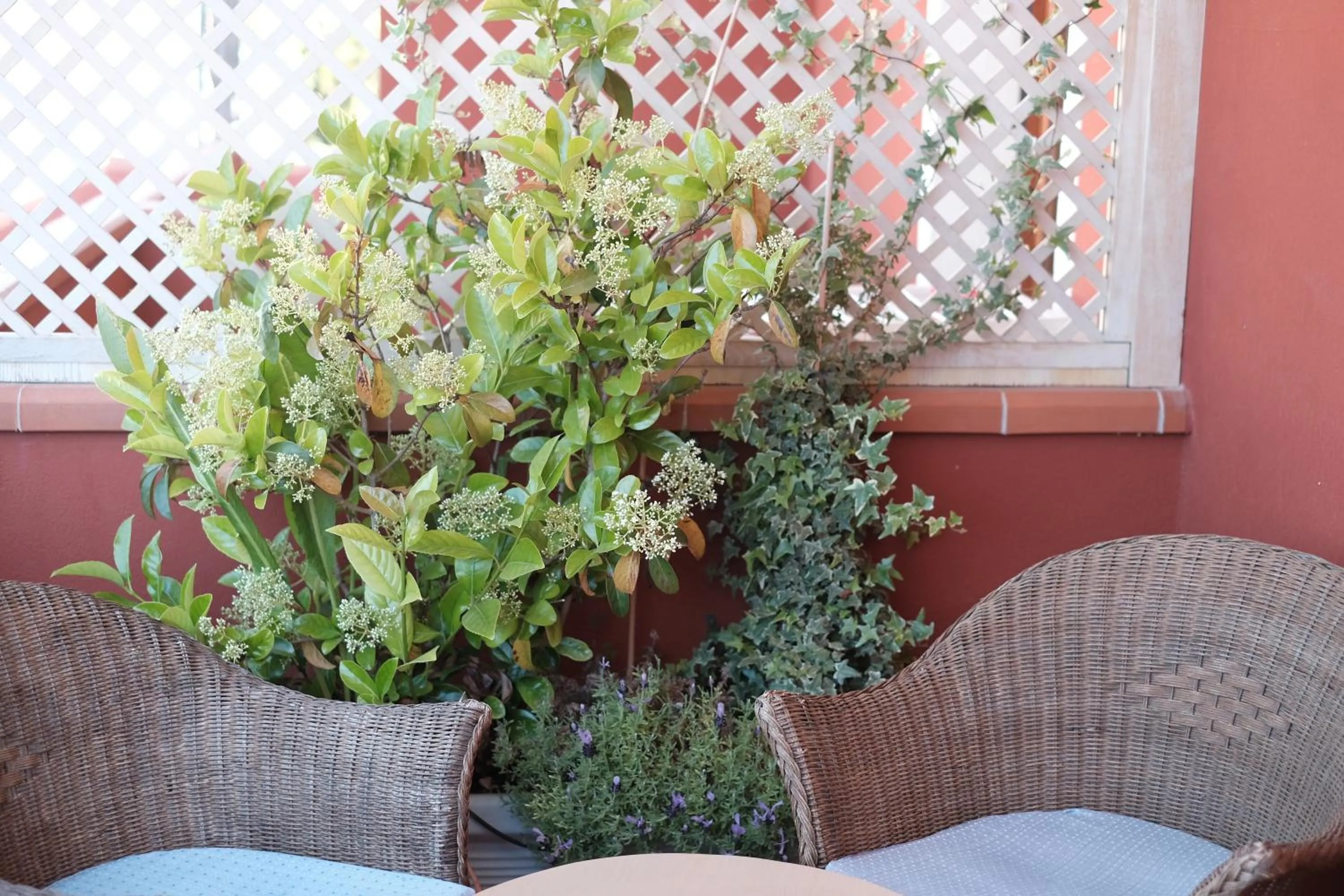 Balcony/Terrace in Locanda degli Artisti