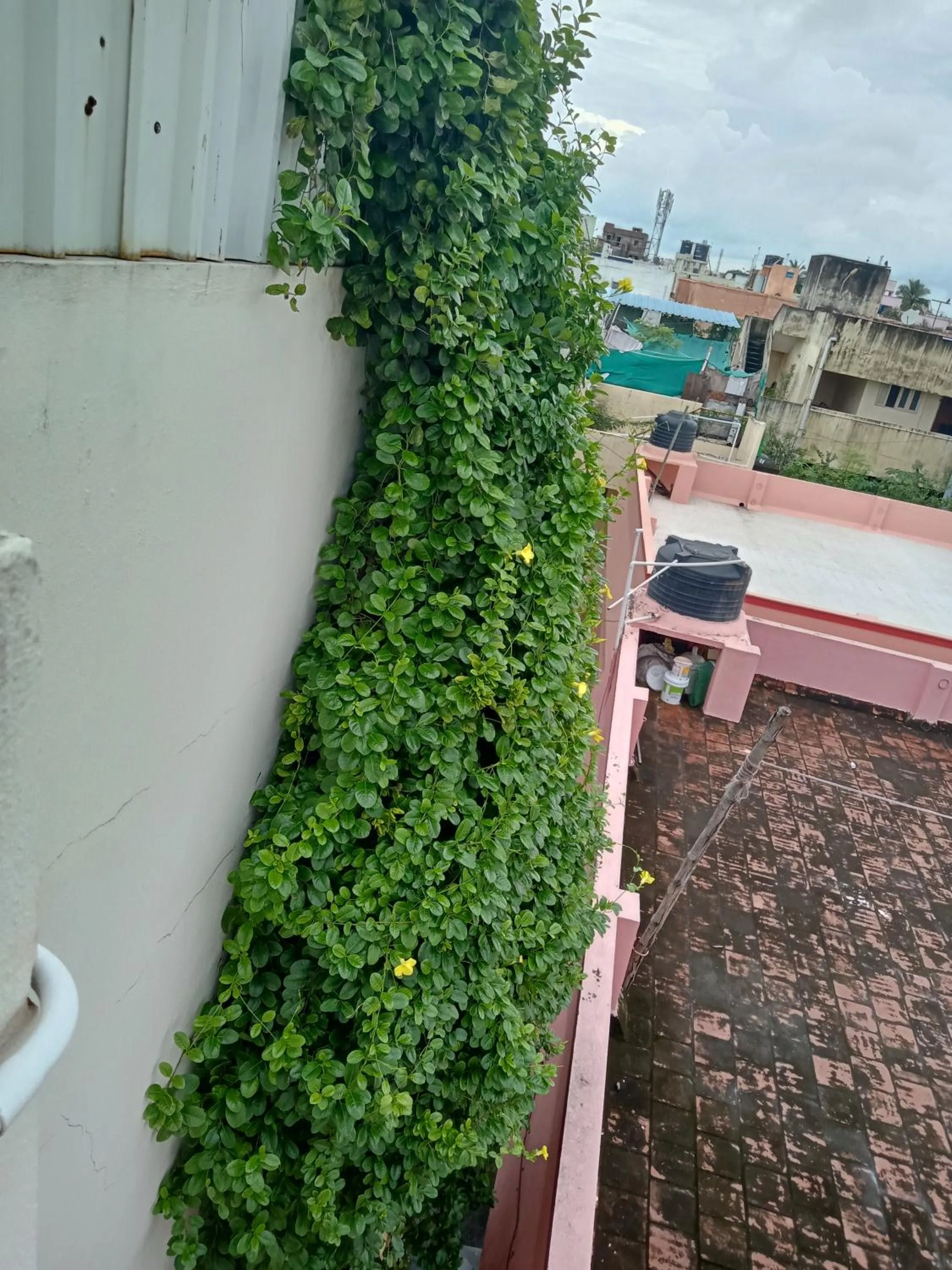 Kitchen or kitchenette in Allamanda Abode