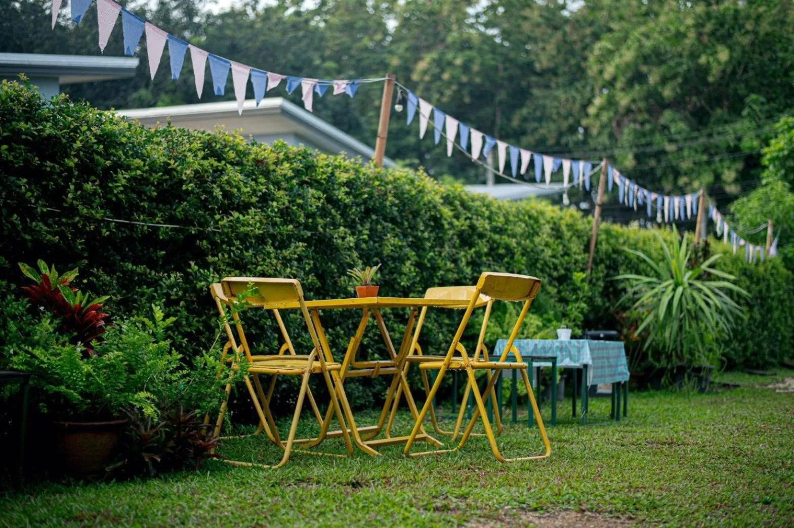 Natural landscape in CoZy House Chiangrai