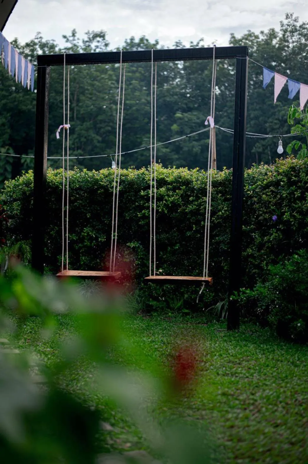 Natural landscape in CoZy House Chiangrai