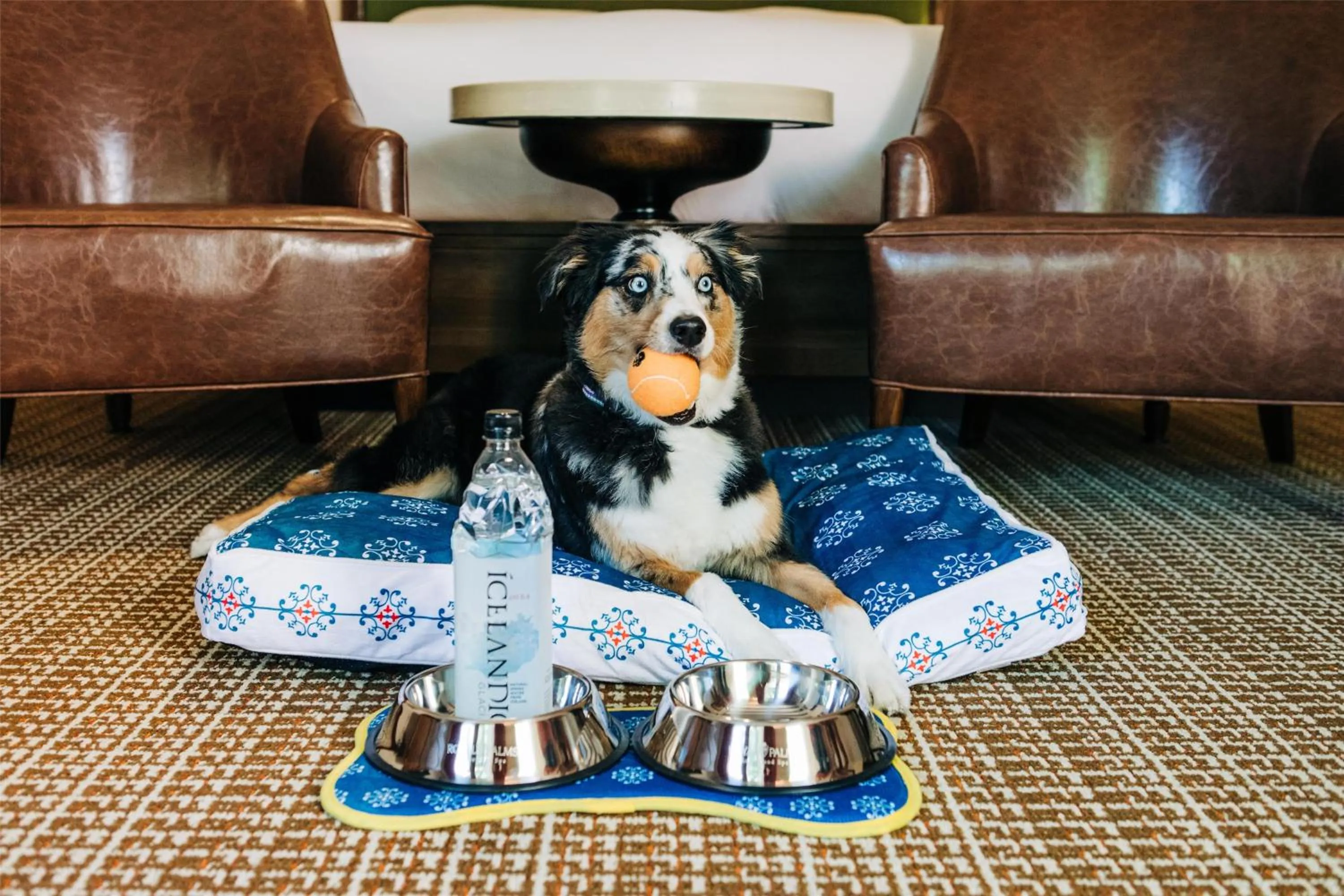 Bedroom in Royal Palms Resort and Spa, part of Hyatt