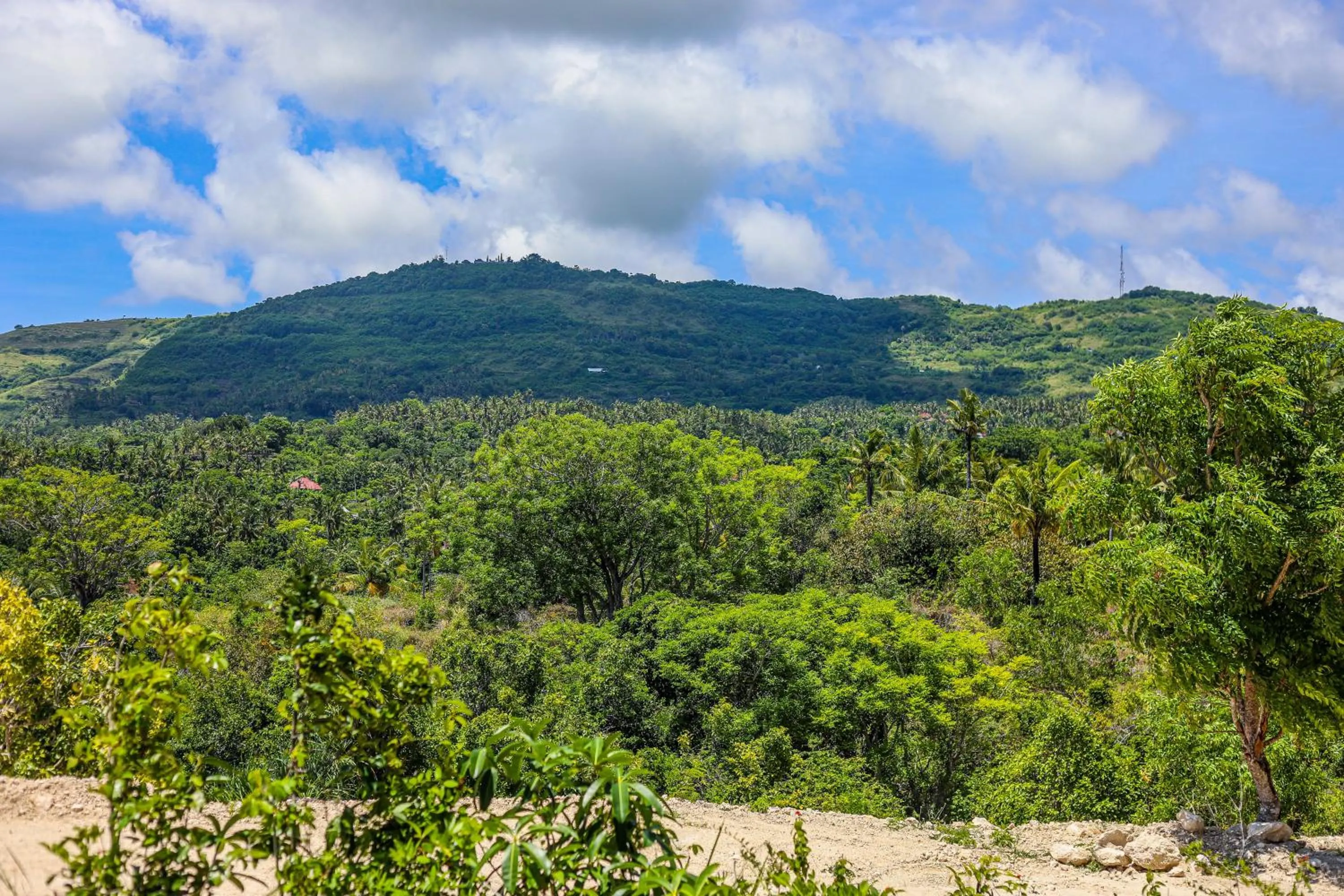Day in Diamond Beach Bungalow