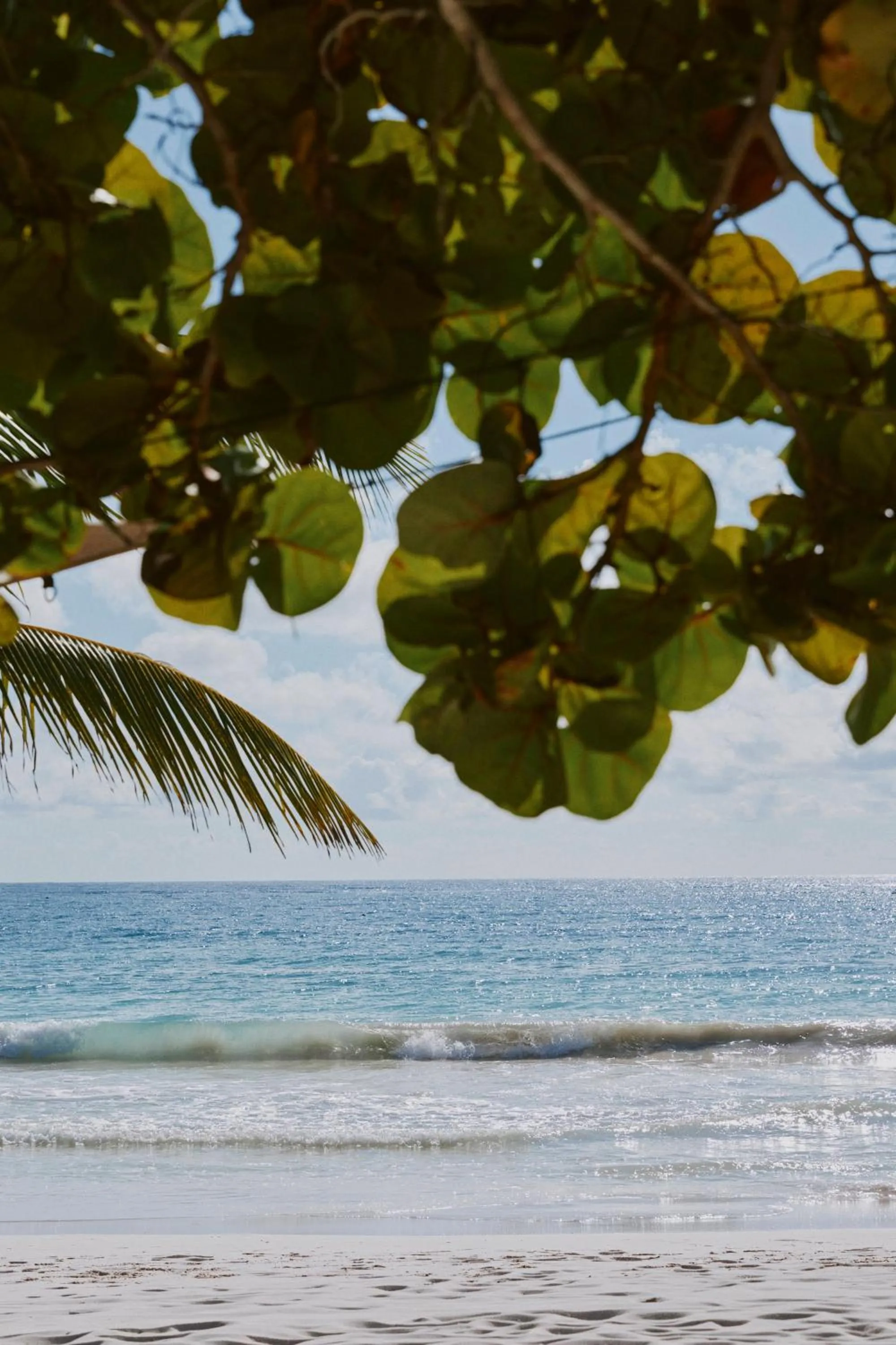 Playa Esperanza Tulum