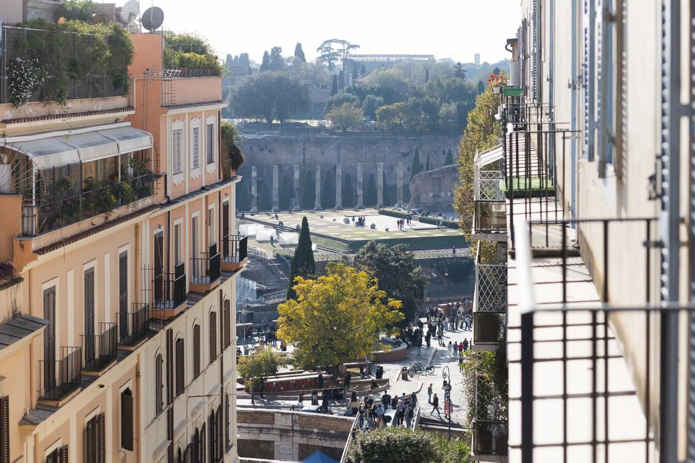 Street view in DrsRome - Roman's Ruins Colosseum