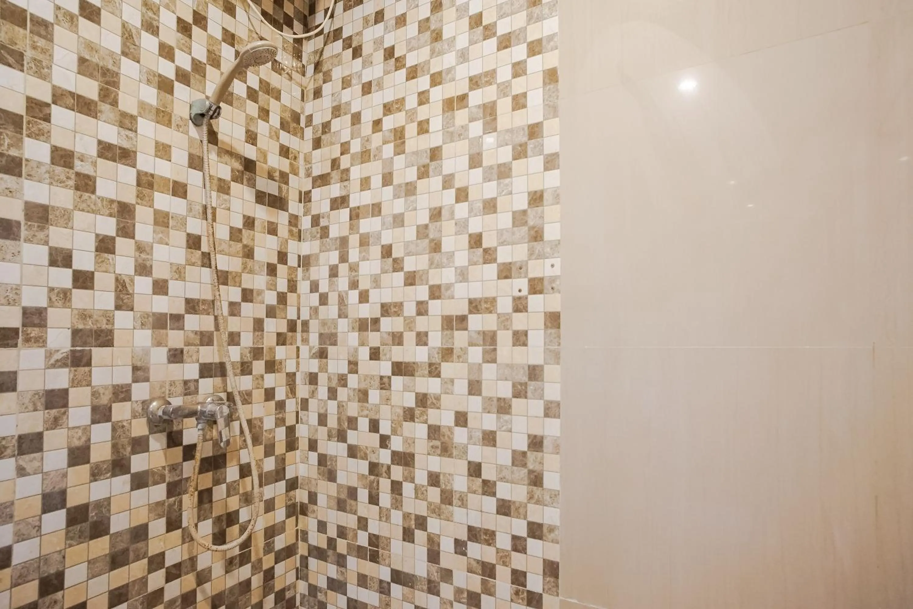 Shower in Mahesa Suites Seminyak