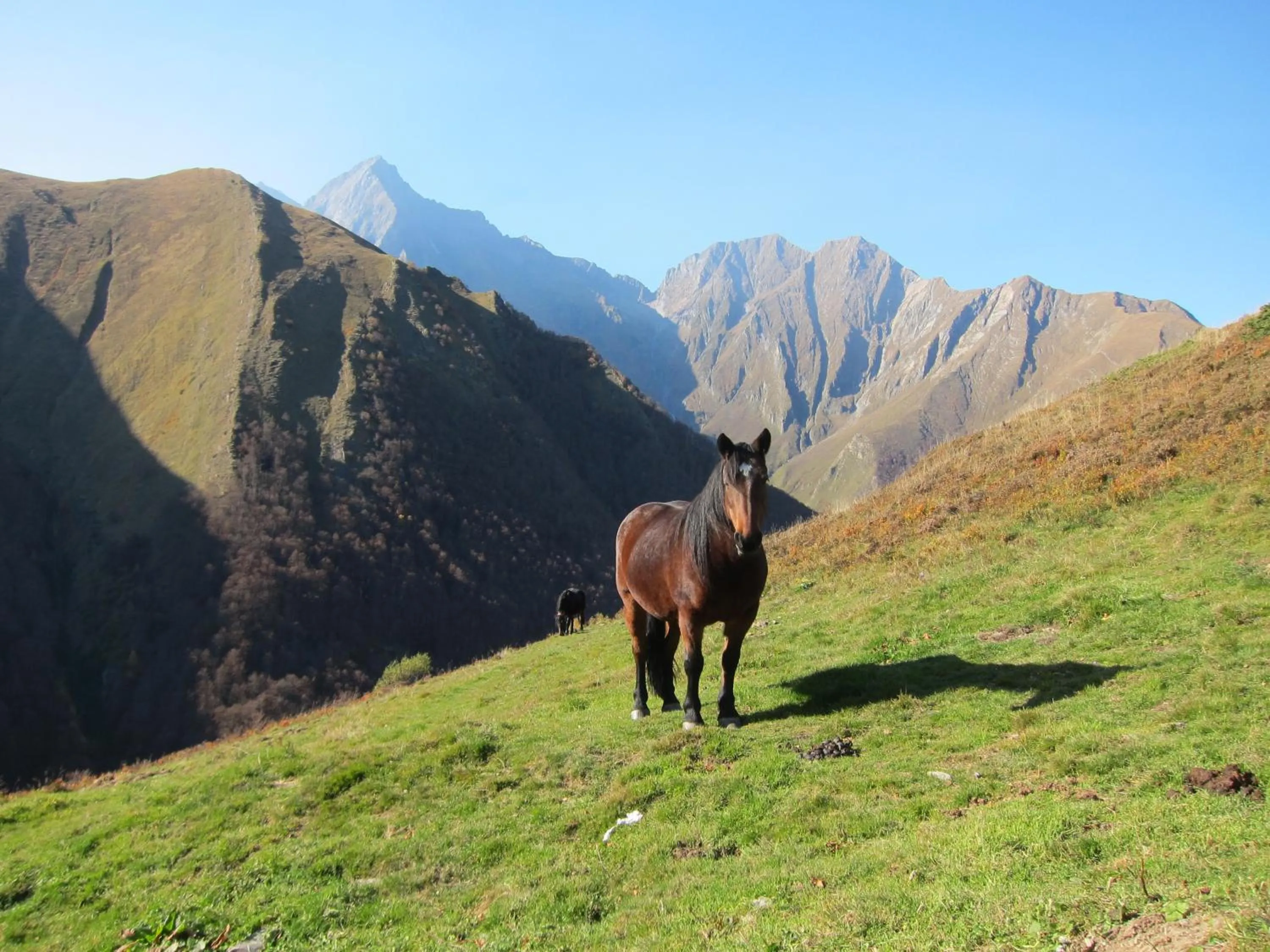 Activities in Auberge des Deux Rivières