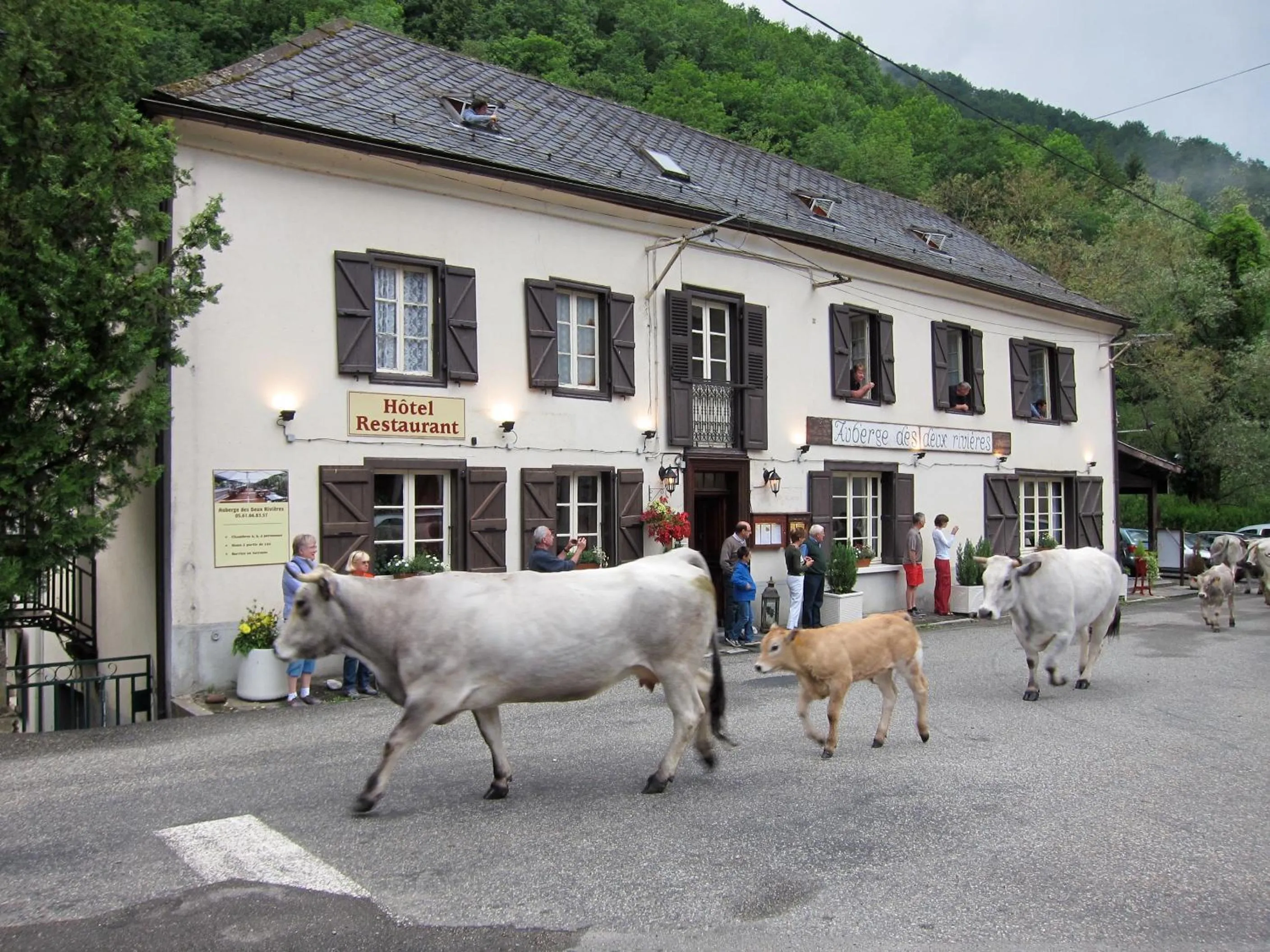 Activities in Auberge des Deux Rivières