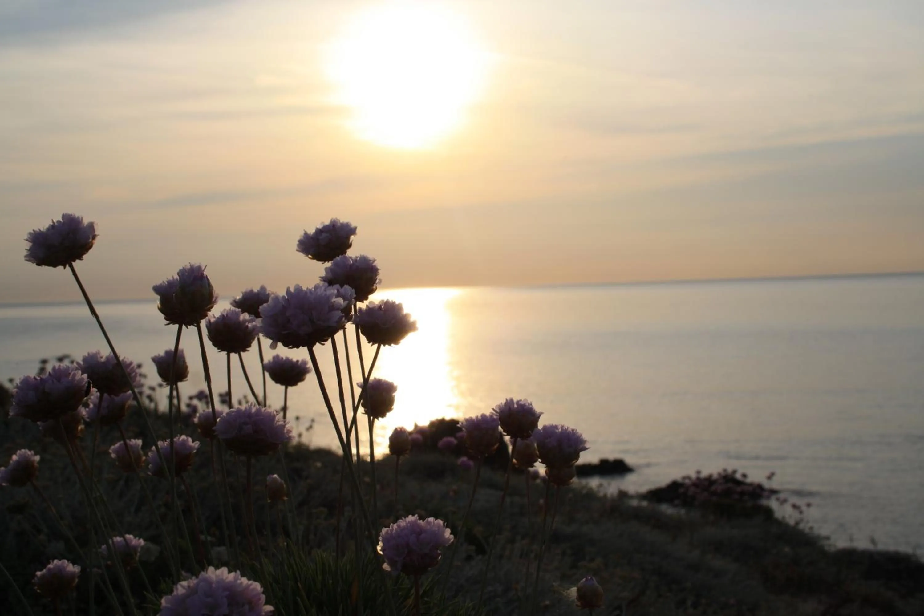 Spring in Hotel Da Cecco