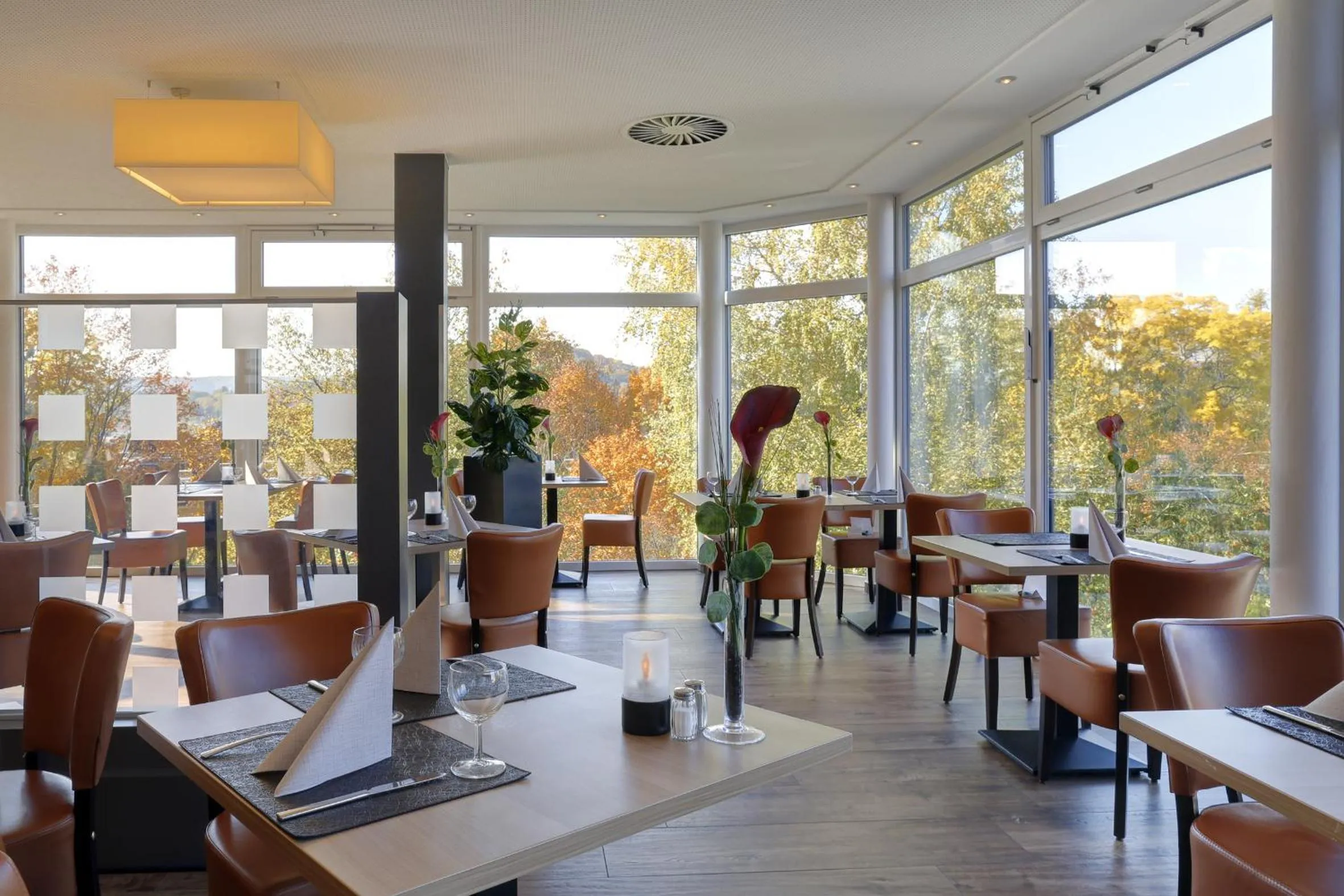 Restaurant/places to eat in Parkhotel CUP VITALIS