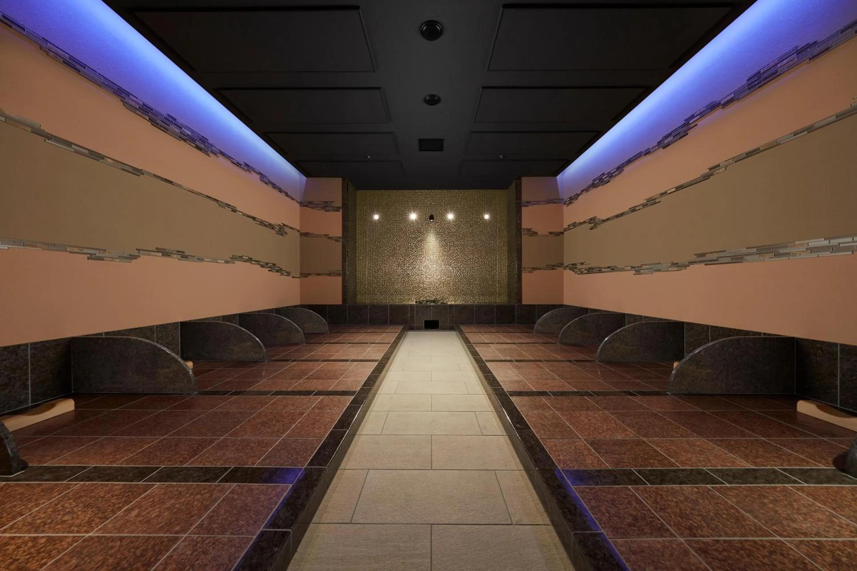 Area and facilities in Villa Fontaine Grand Tokyo Ariake