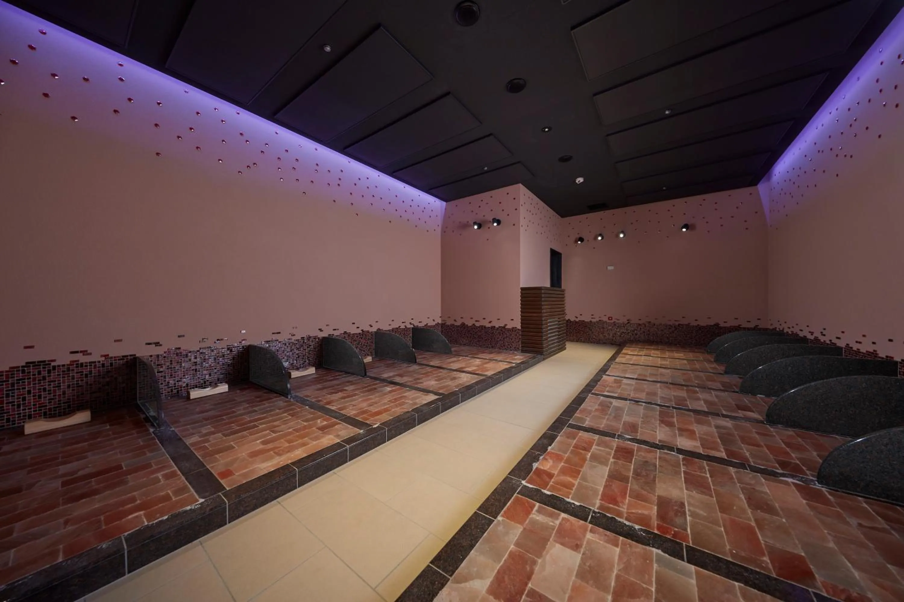 Area and facilities in Villa Fontaine Grand Tokyo Ariake