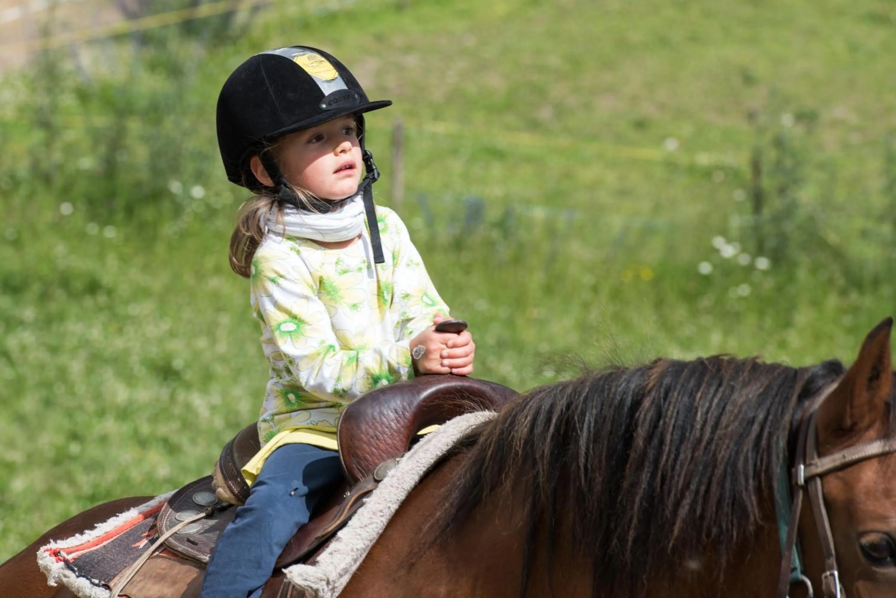 Activities in Reitstall und Saloon San Jon