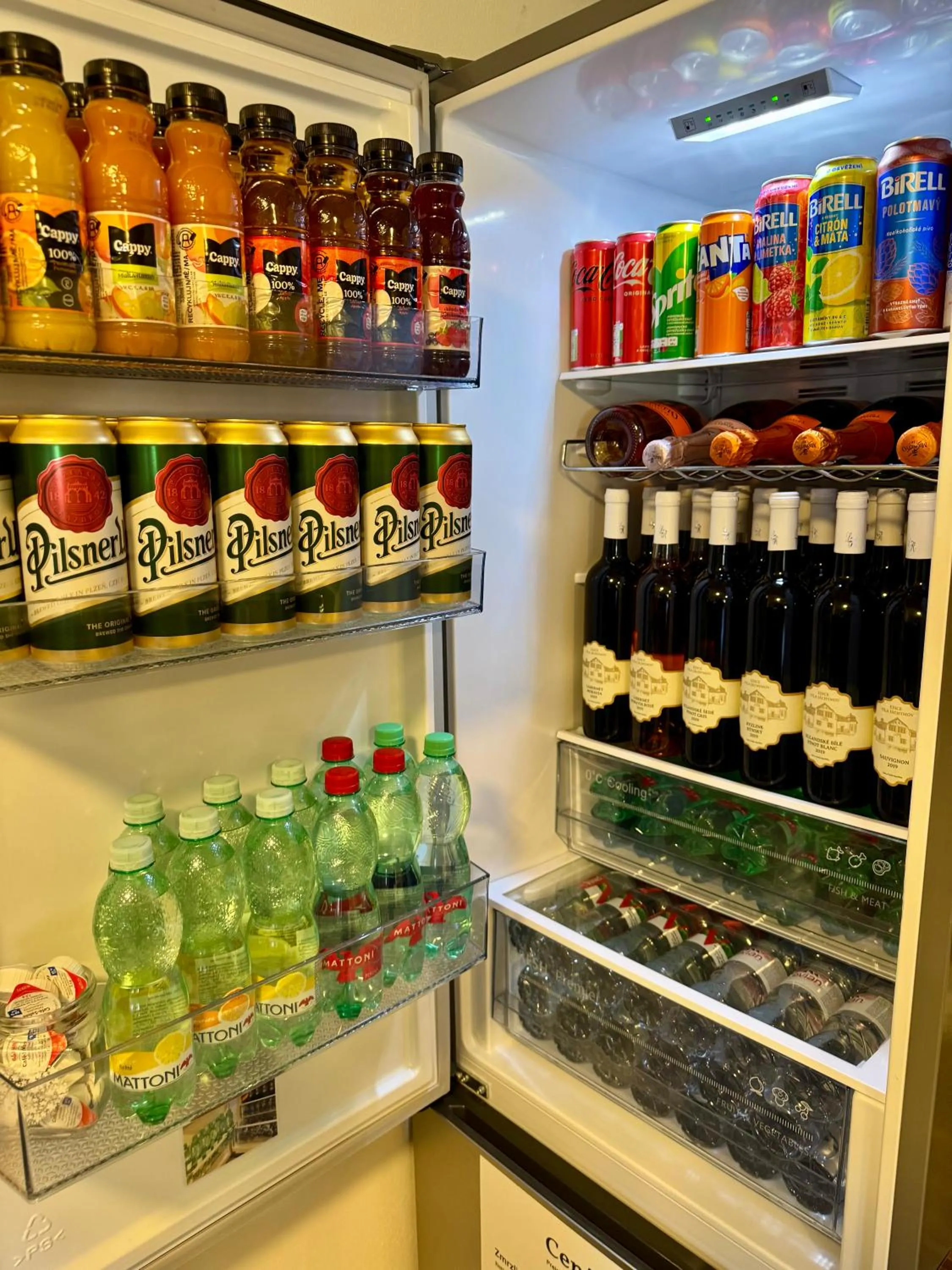 Communal lounge/ TV room in Vila Jáchymov