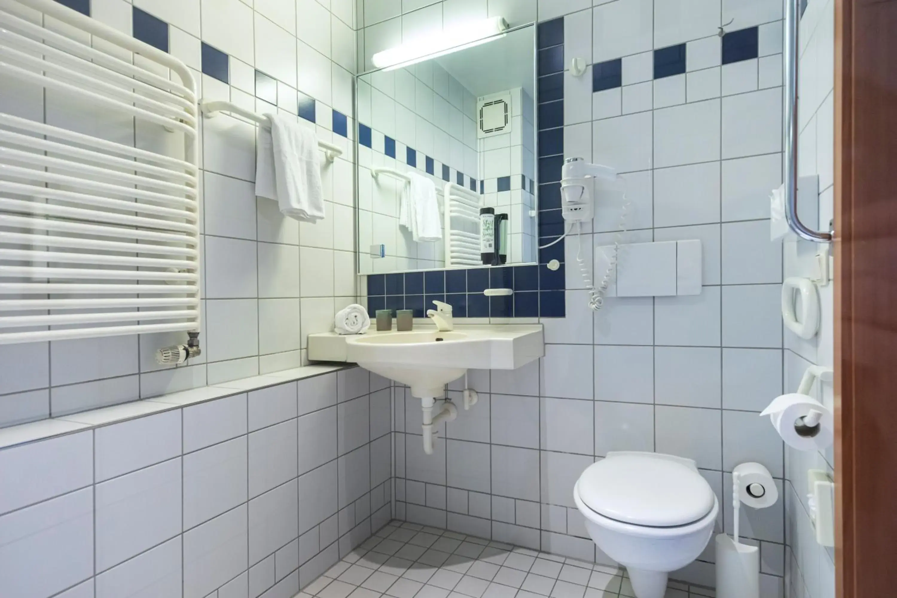 Double Room - single occupancy in Michel Hotel Karoli Waldkirchen Double Room - single occupancy in Michel Hotel Karoli Waldkirchen