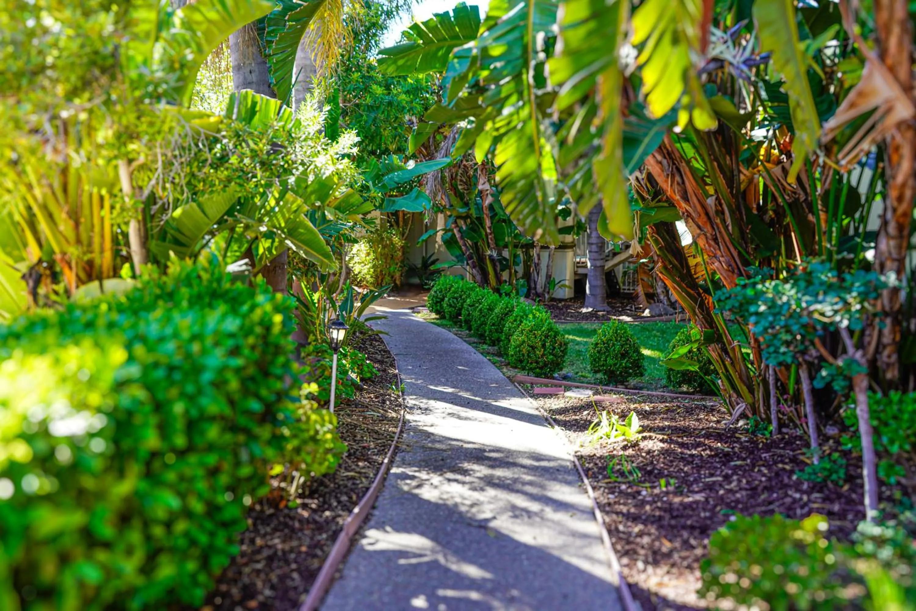 Spring in Uptown Oasis San Jose Airport & Silicon Valley