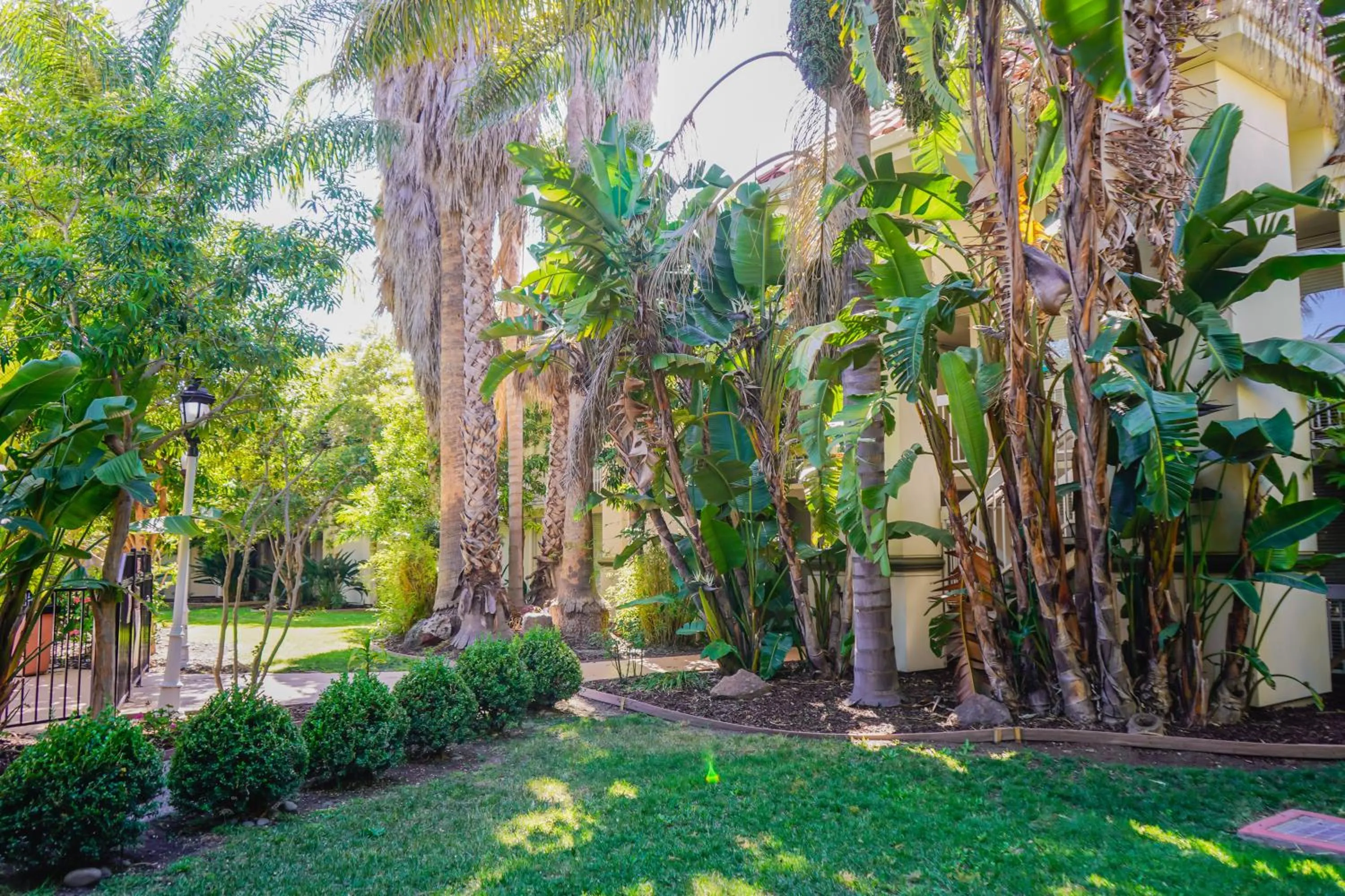 Spring in Uptown Oasis San Jose Airport & Silicon Valley