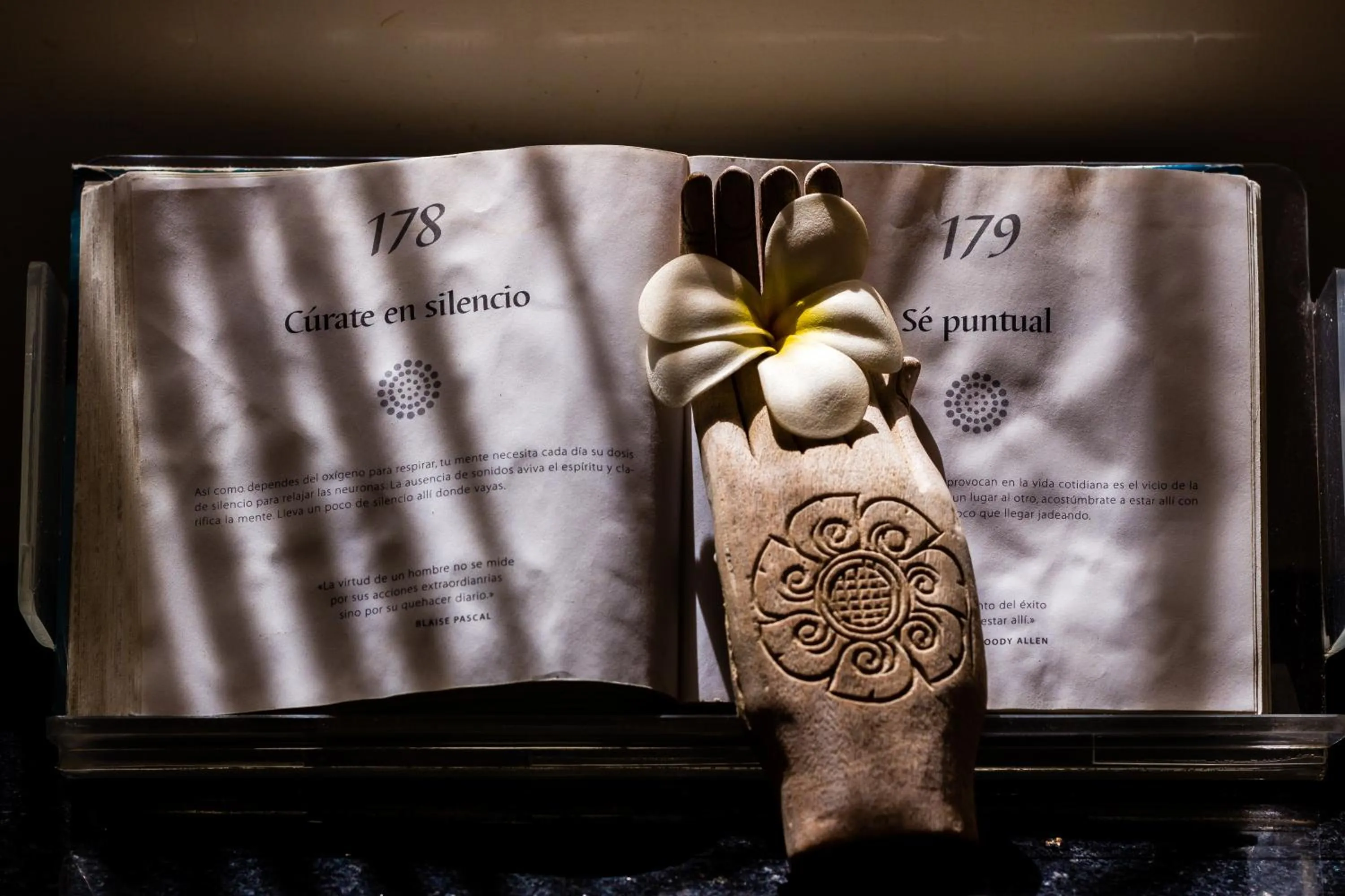 Decorative detail in DCO Suites Lounge & Spa