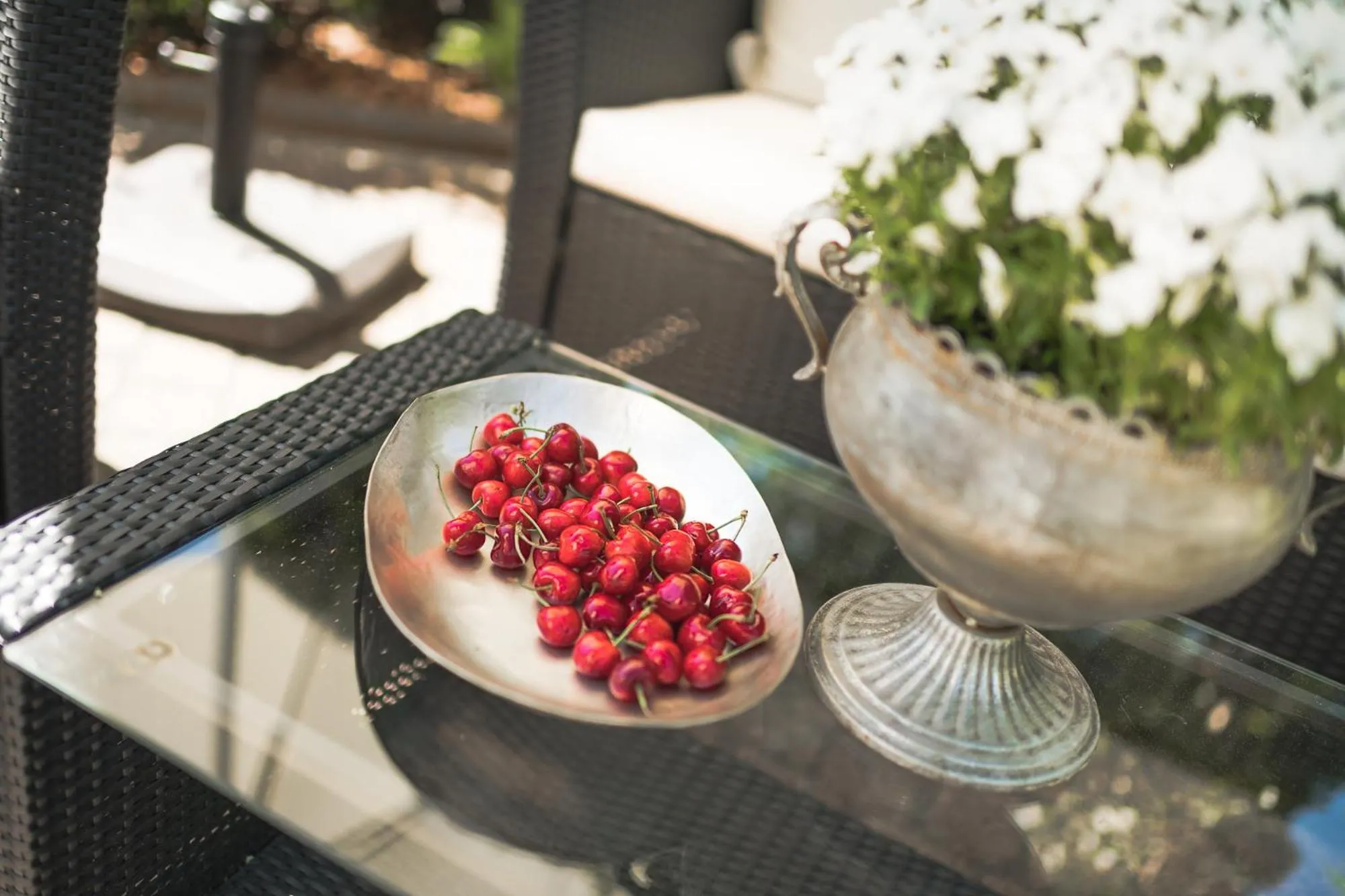 Garden in Garni Hotel Platzer