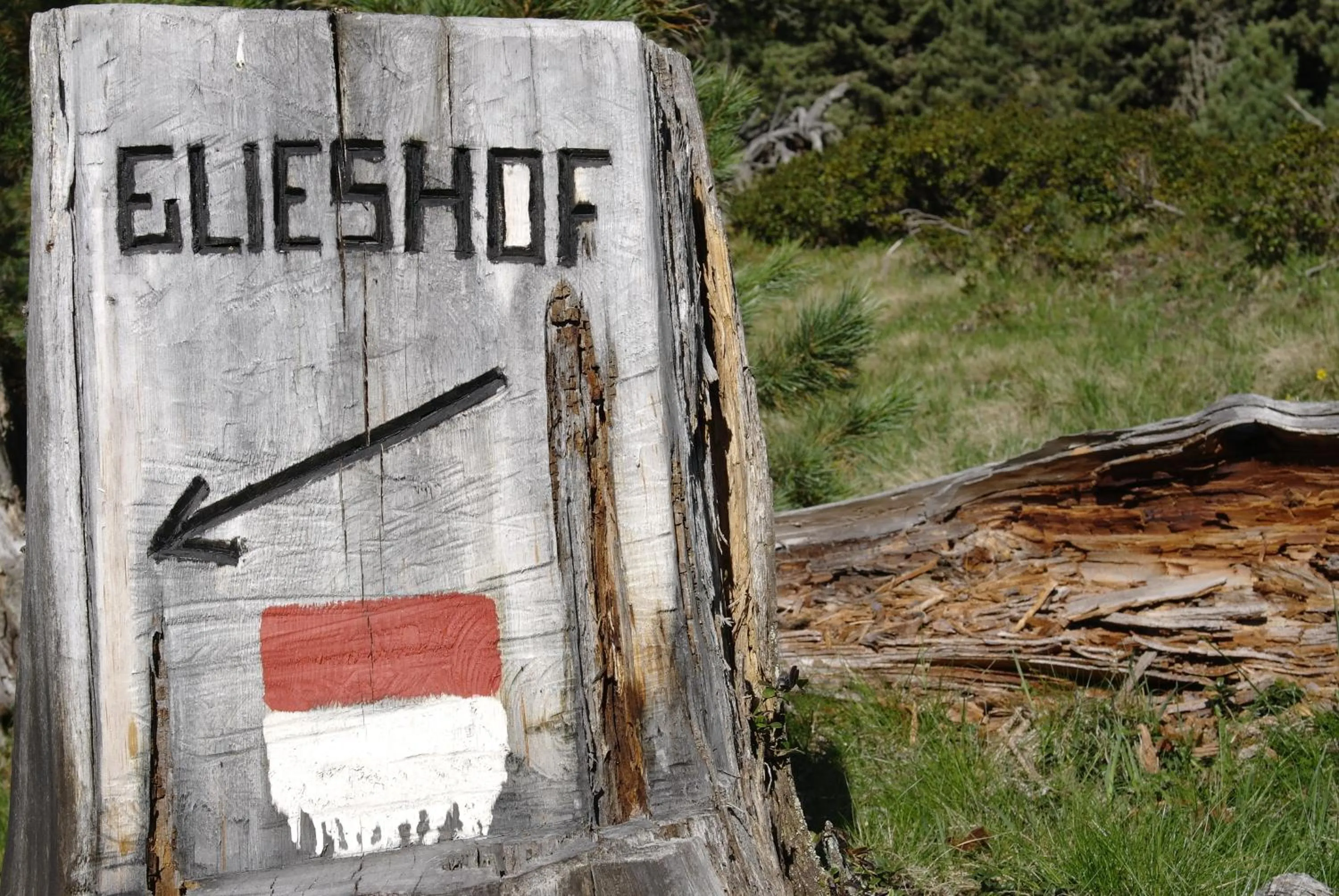 Natural landscape in Almhotel Glieshof