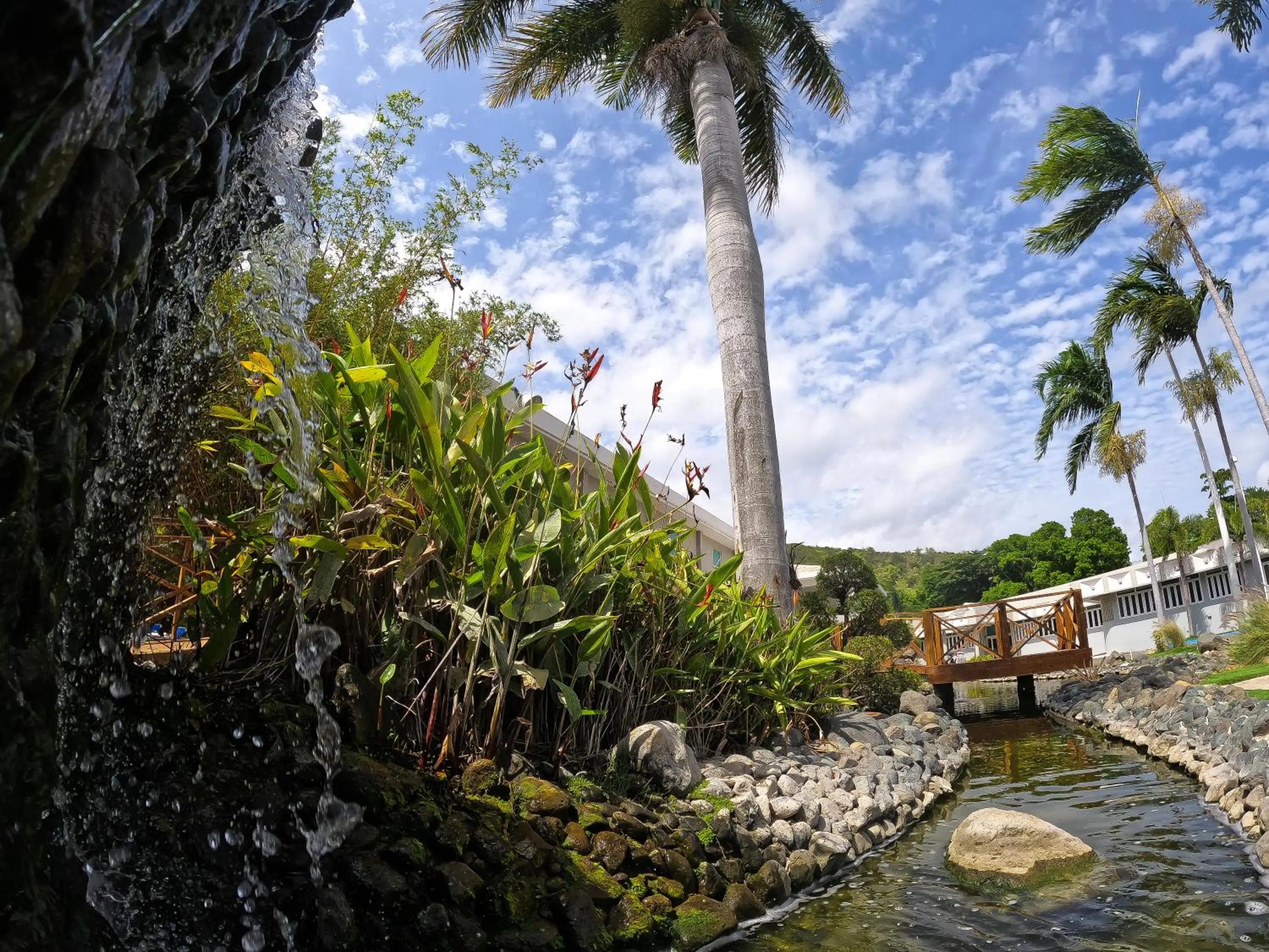 Garden in Costa Bahia Hotel, Convention Center and Casino