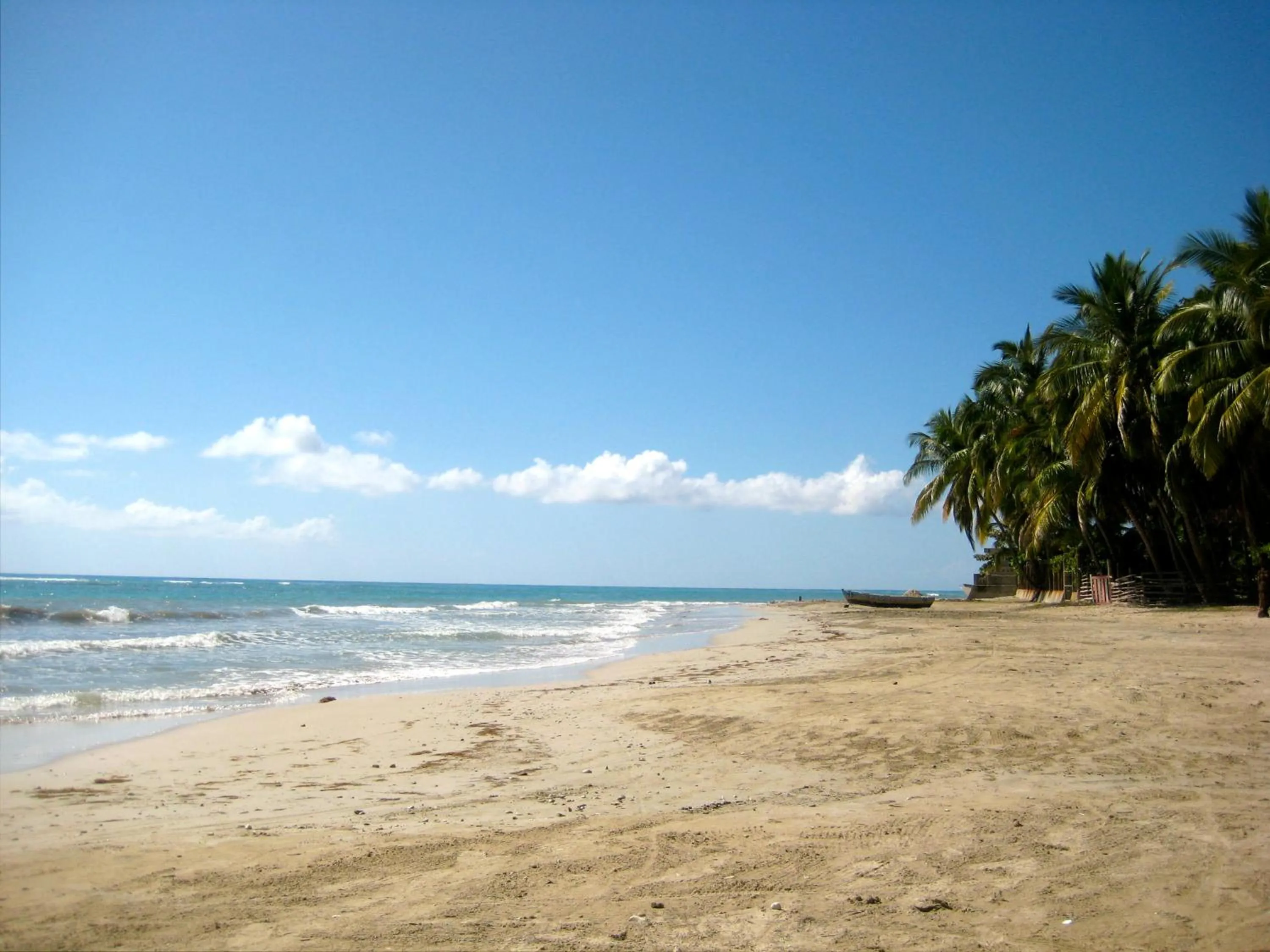 Natural landscape in hotel florita