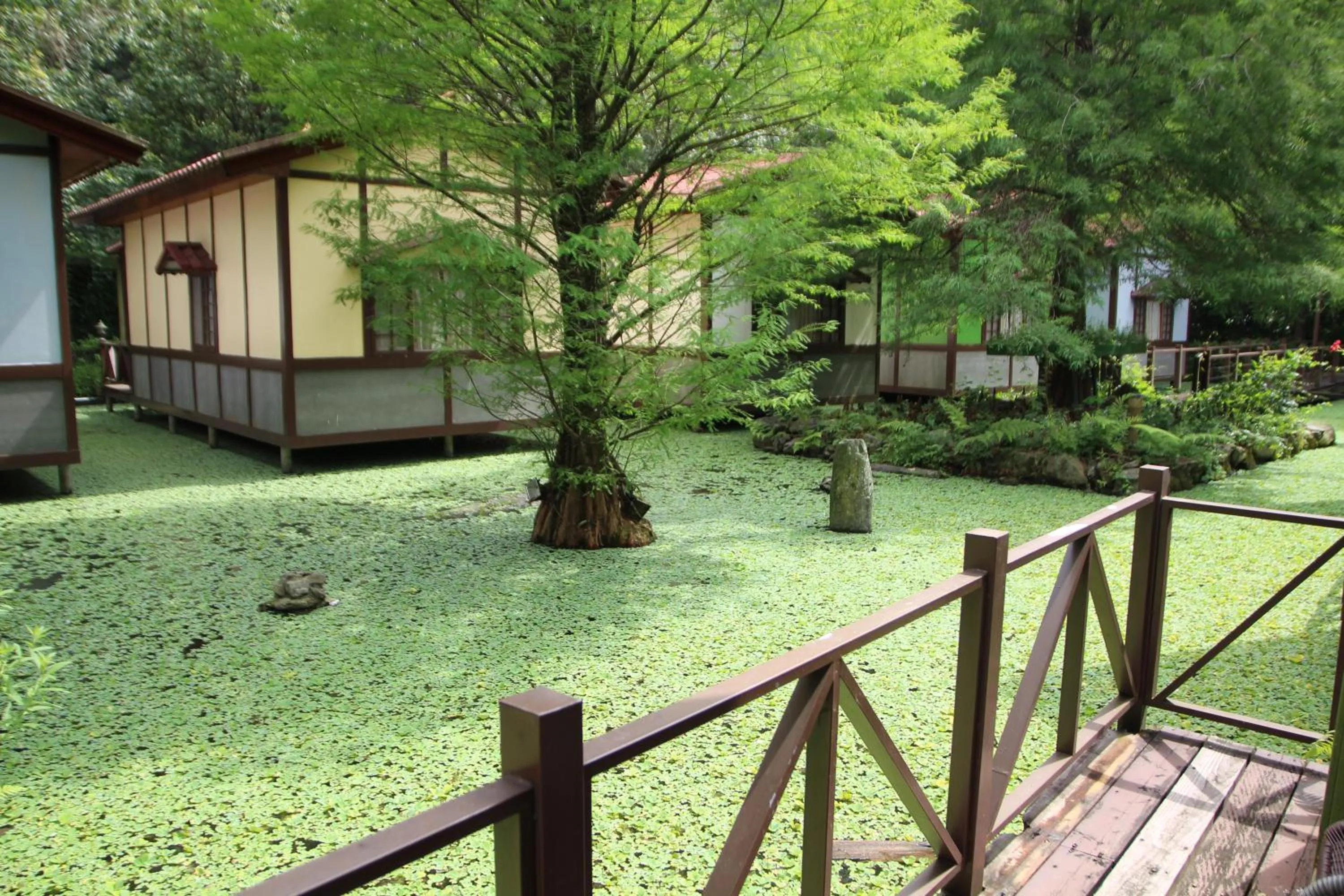 Tai-Yi Red Maple Resort