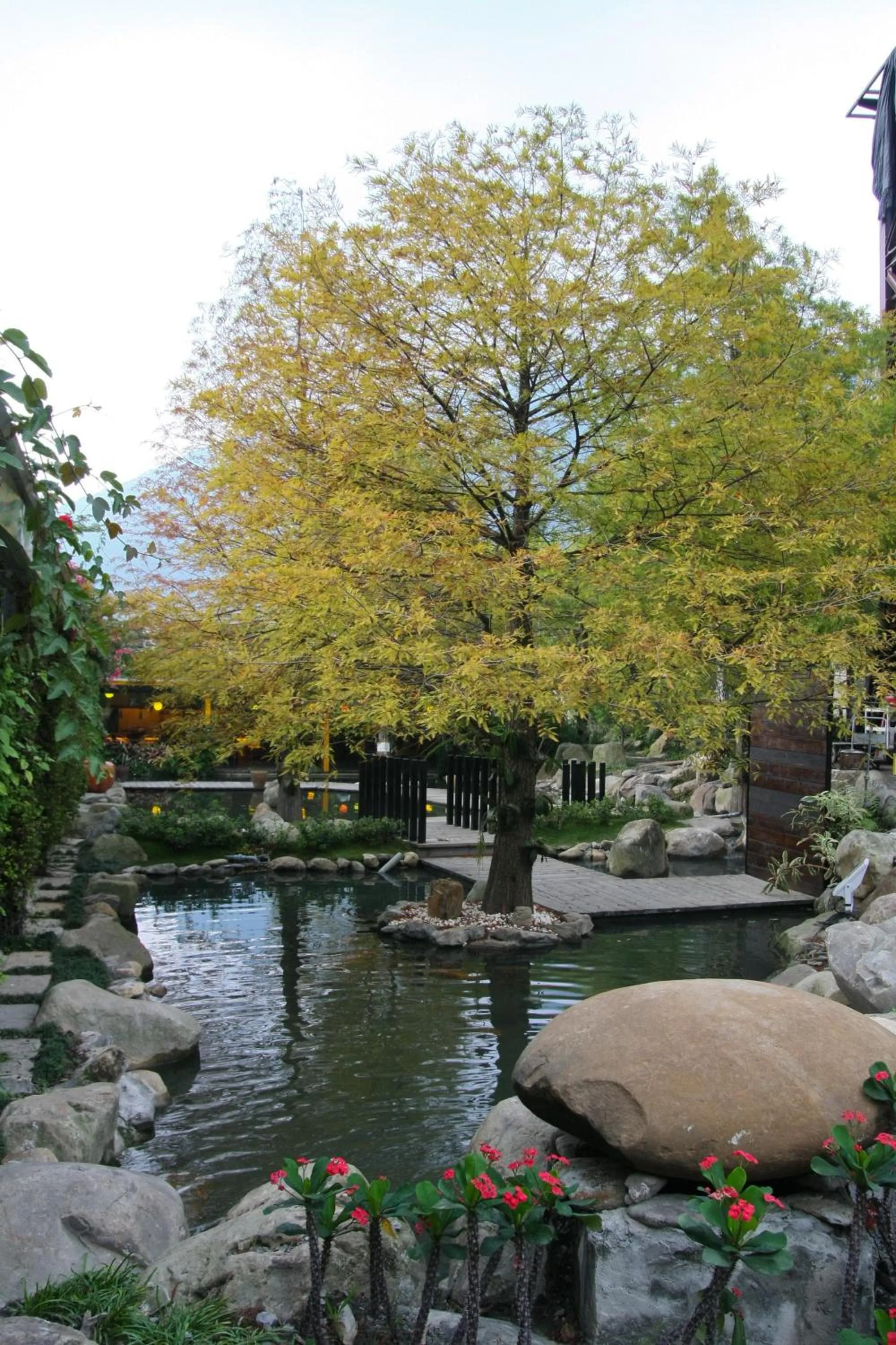 Tai-Yi Red Maple Resort