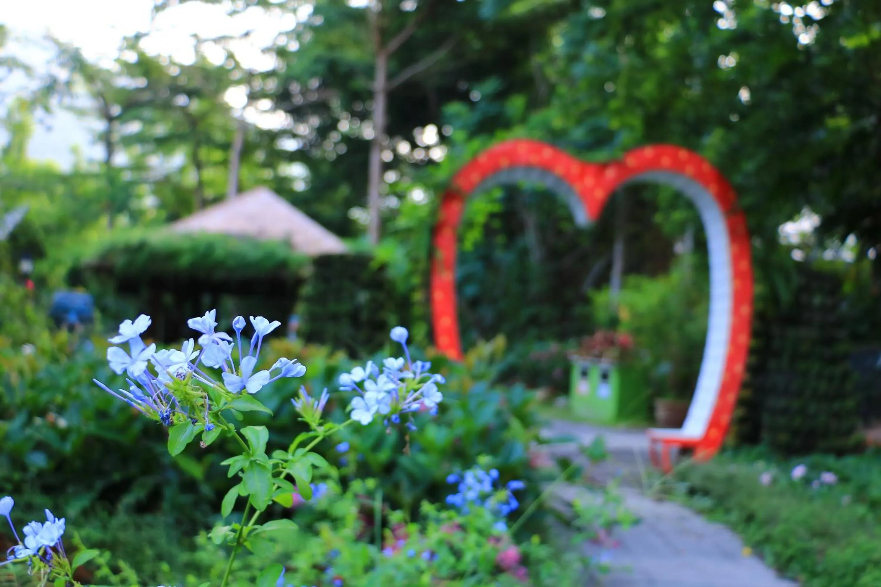 Tai-Yi Red Maple Resort