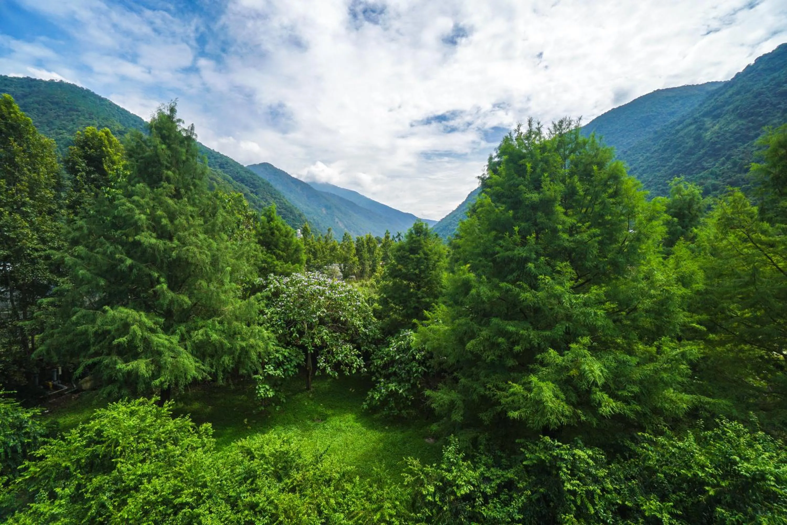 Tai-Yi Red Maple Resort