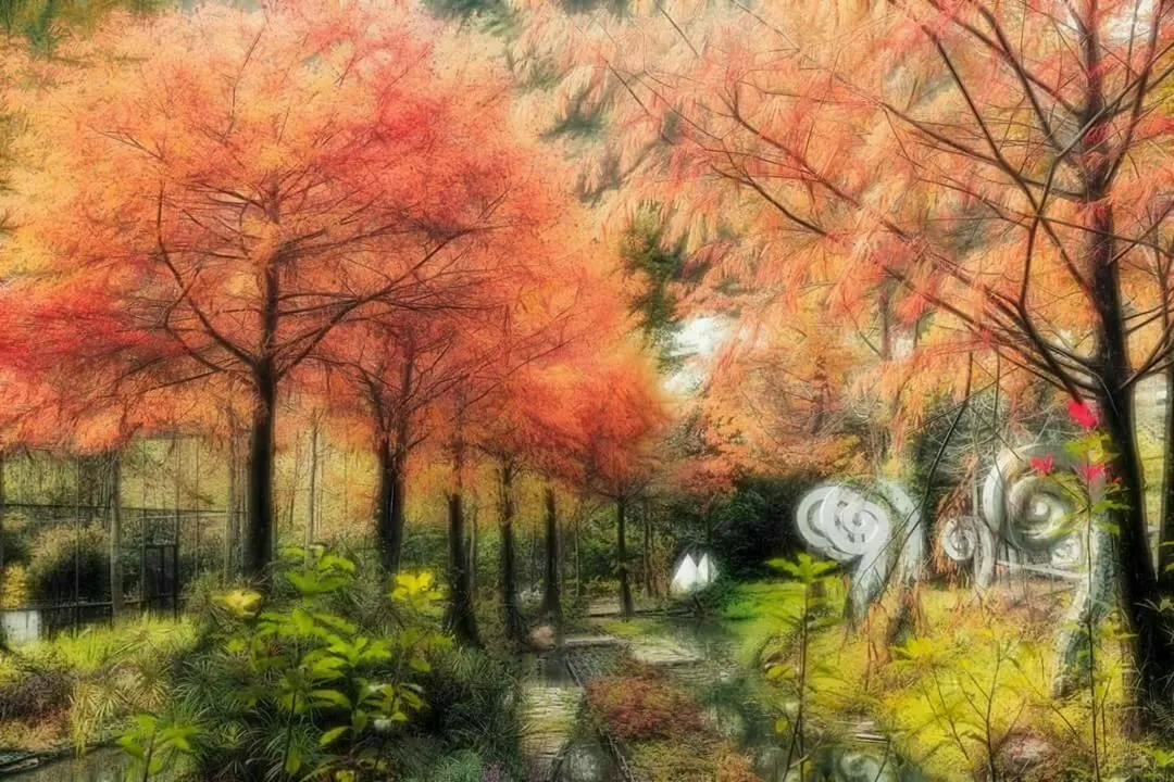 Tai-Yi Red Maple Resort