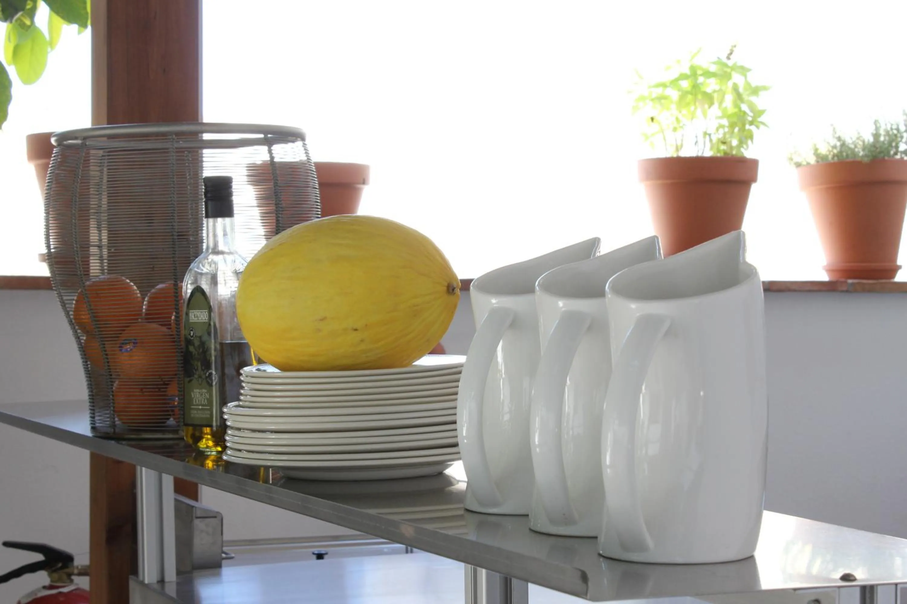 Day in Hotel Palacio Blanco