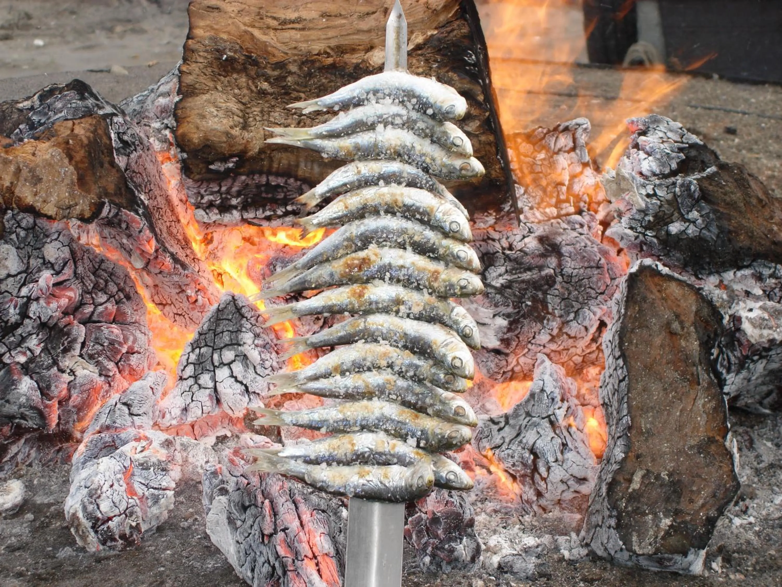 Food in Hotel Palacio Blanco