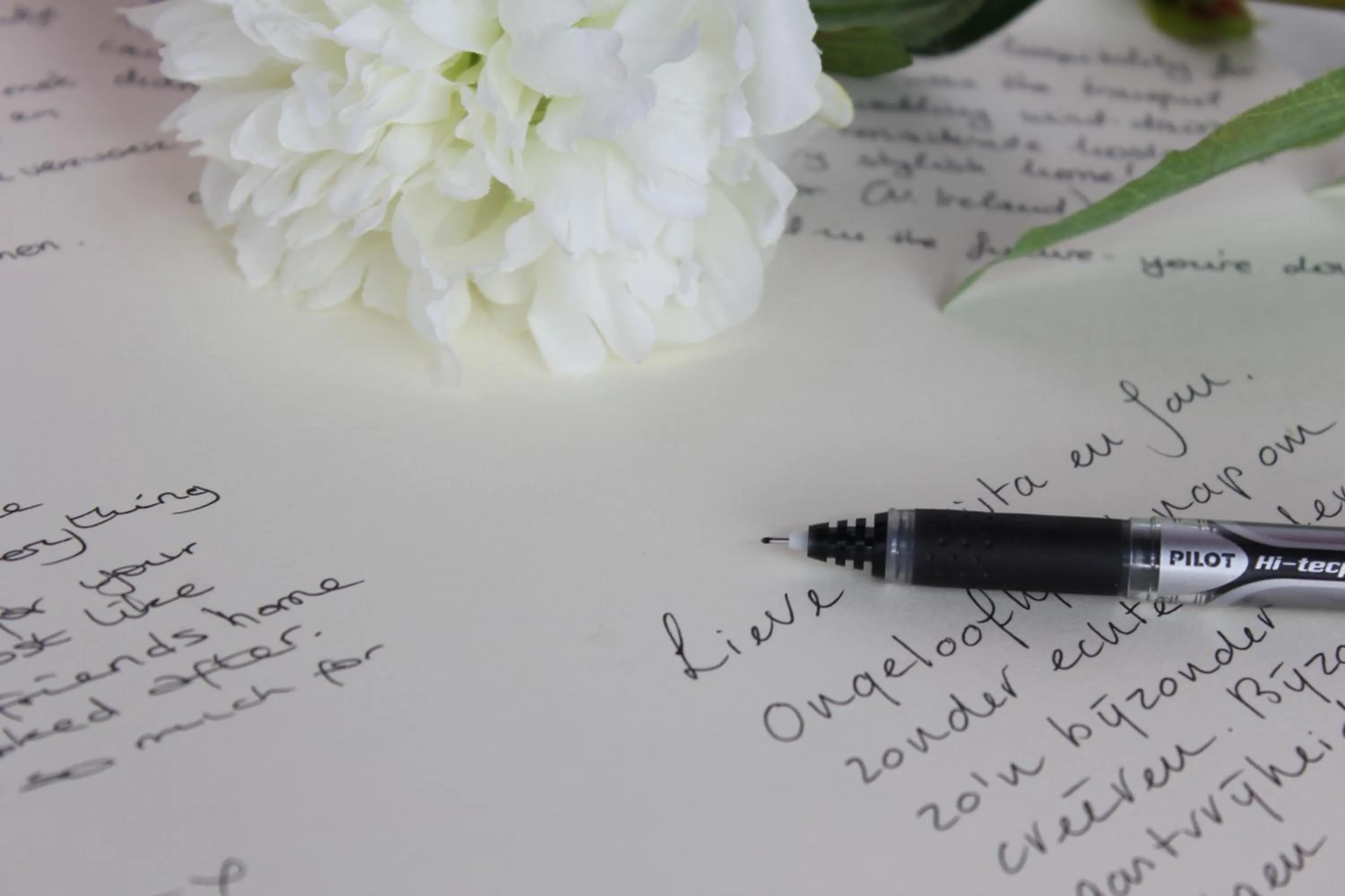 Other in Hotel Palacio Blanco