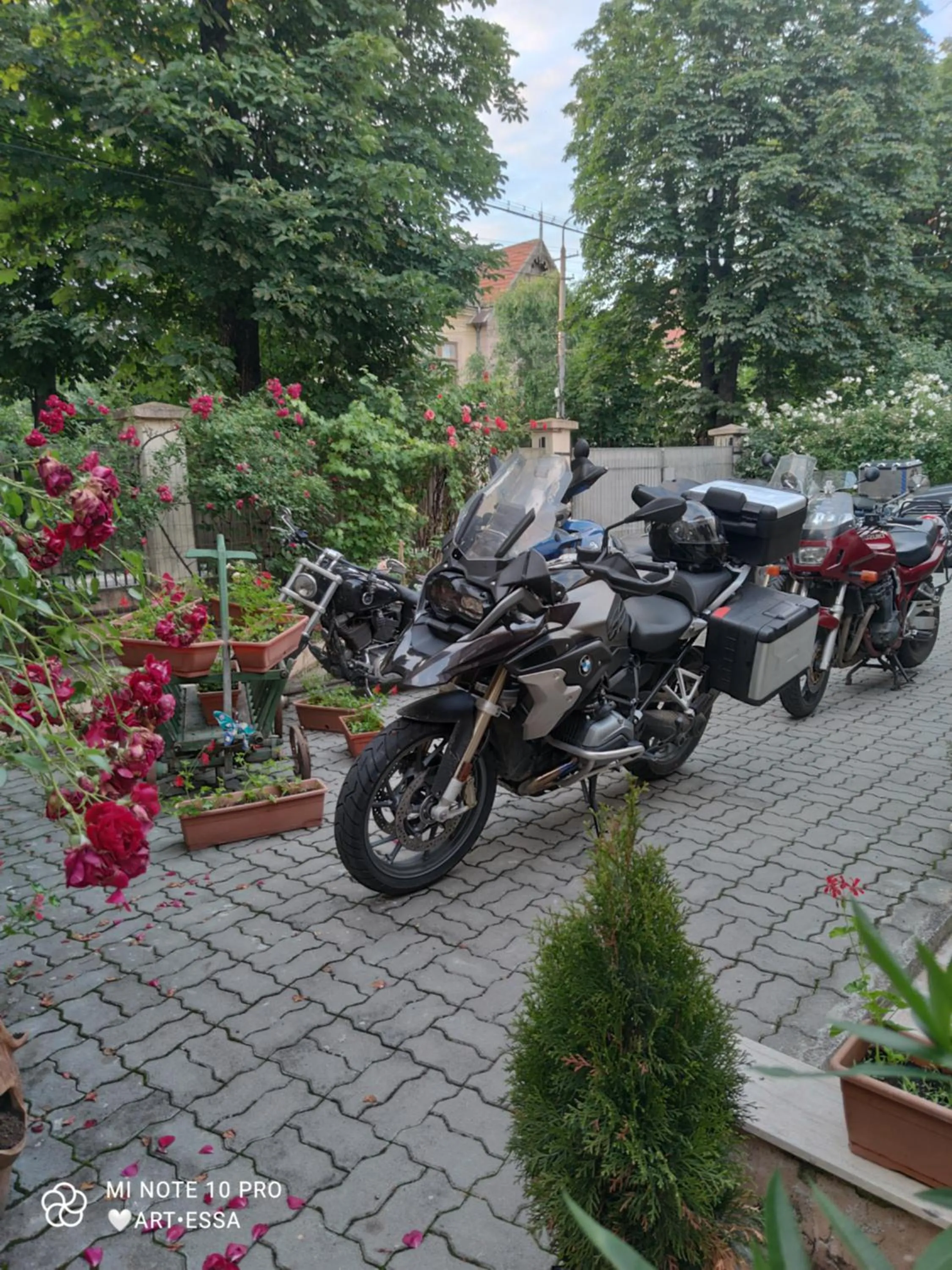 People in Pensiunea Buon Gusto Sibiu-motorcyle friendly,city center