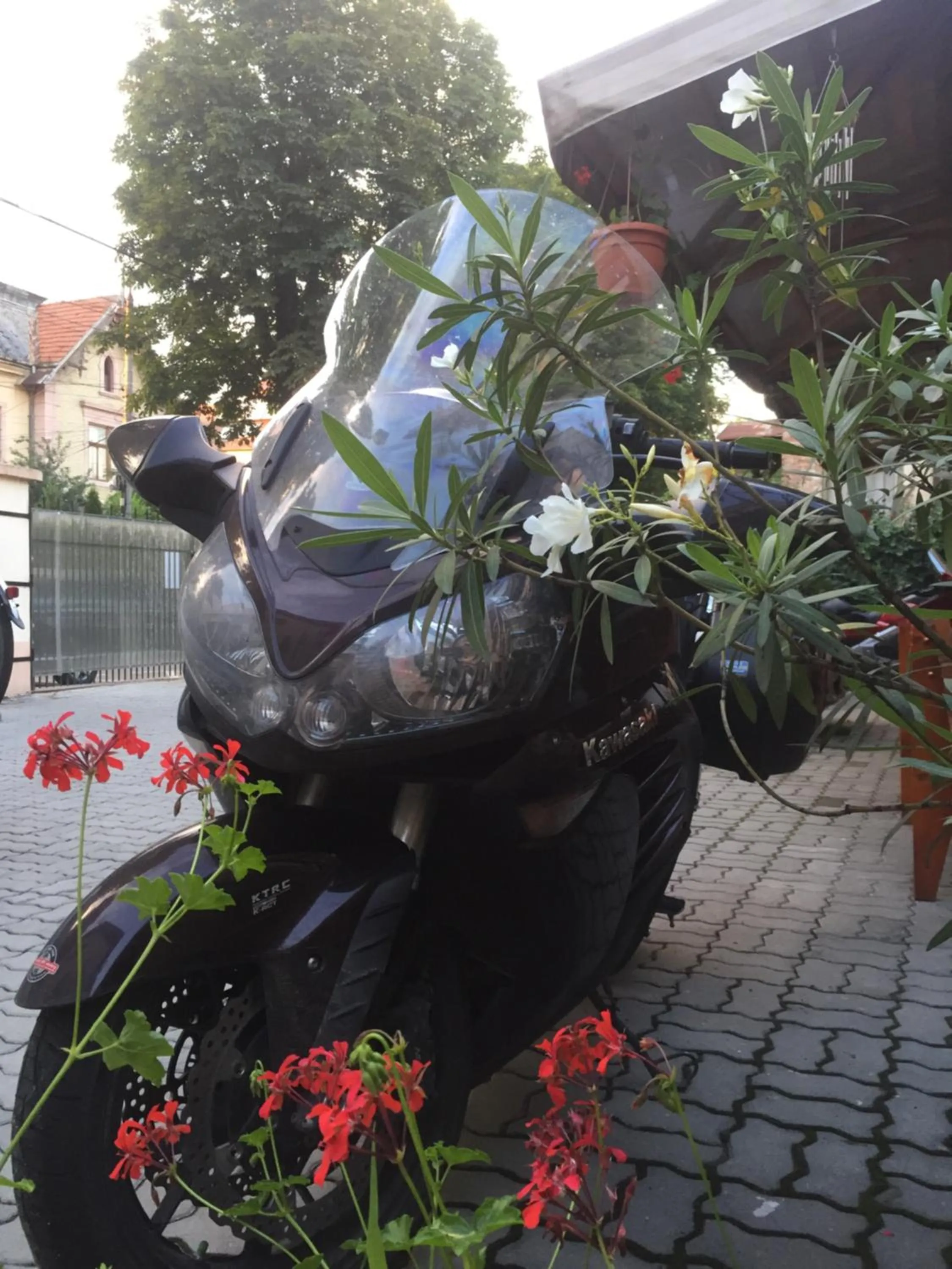 On site in Pensiunea Buon Gusto Sibiu-motorcyle friendly,city center