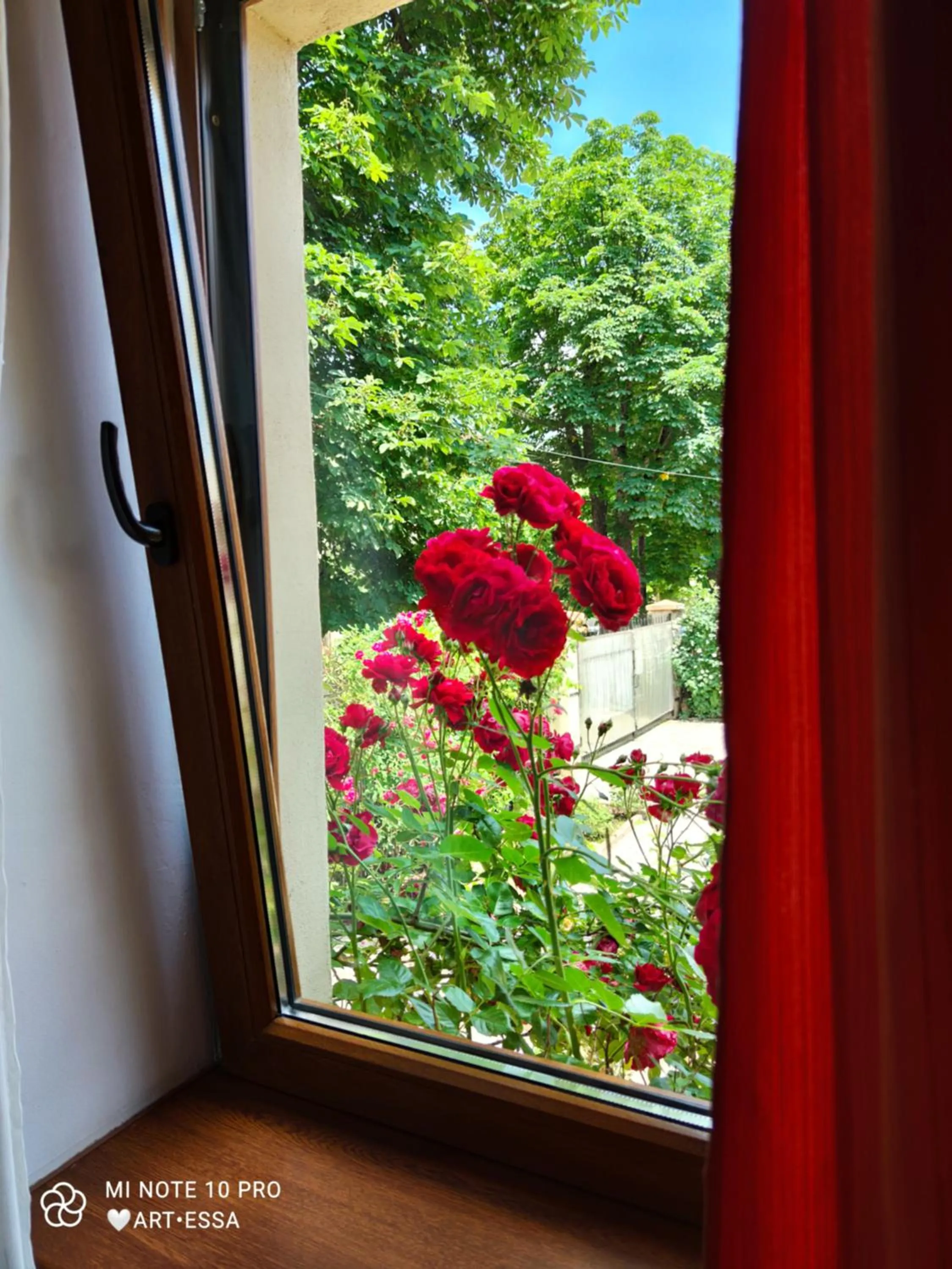 View (from property/room) in Pensiunea Buon Gusto Sibiu-motorcyle friendly,city center