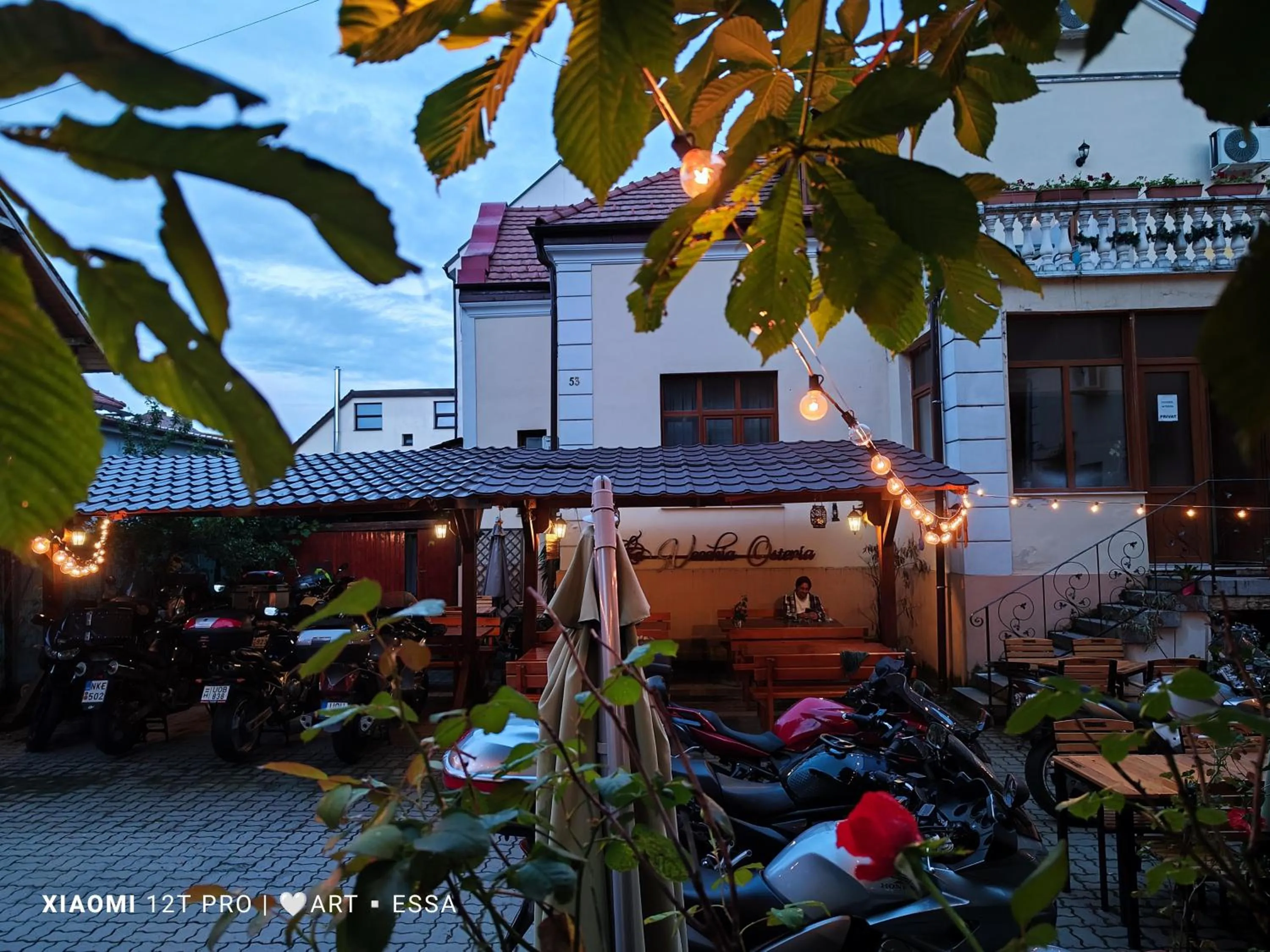 Garden in Pensiunea Buon Gusto Sibiu-motorcyle friendly,city center