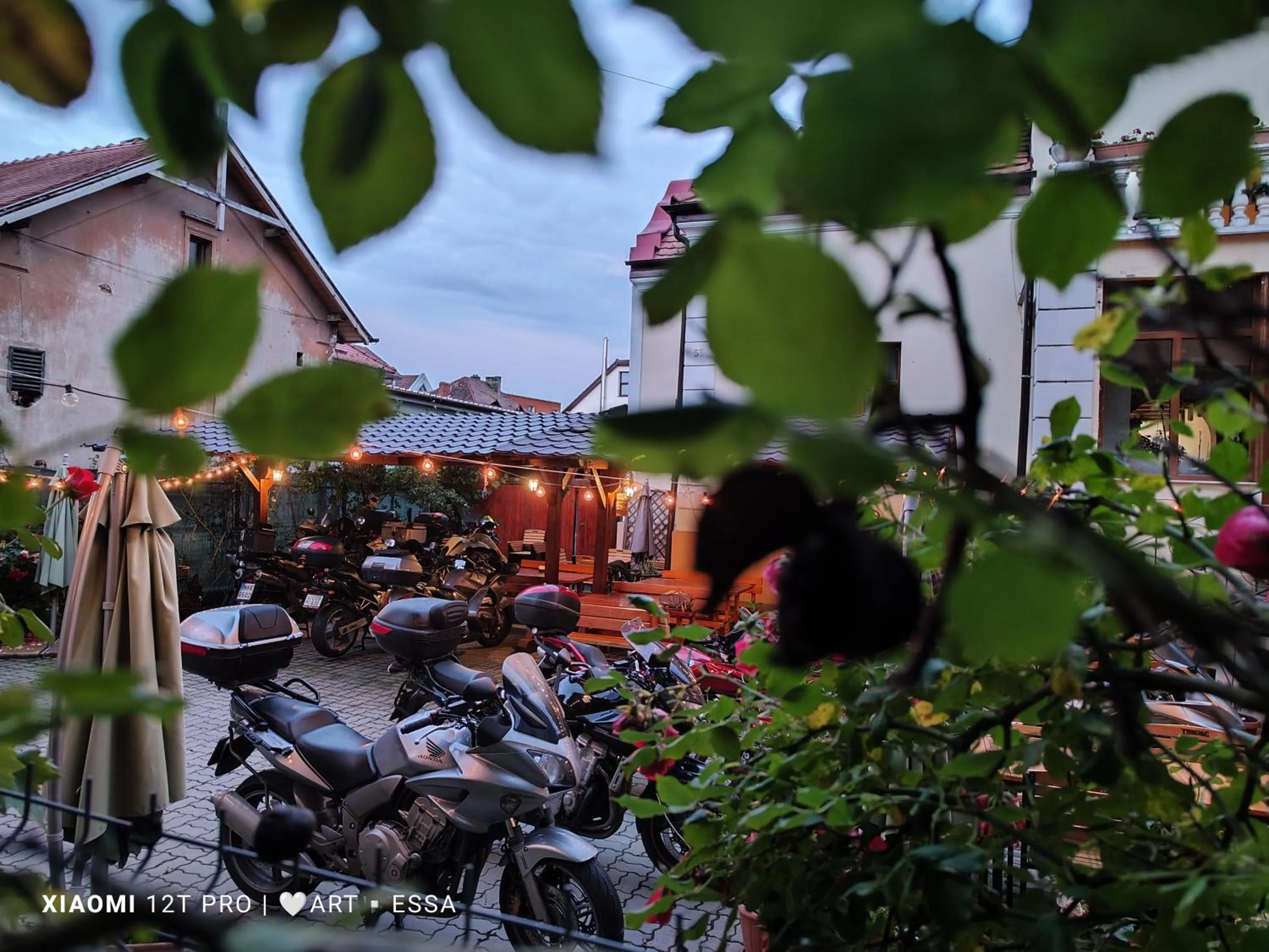 Garden in Pensiunea Buon Gusto Sibiu-motorcyle friendly,city center