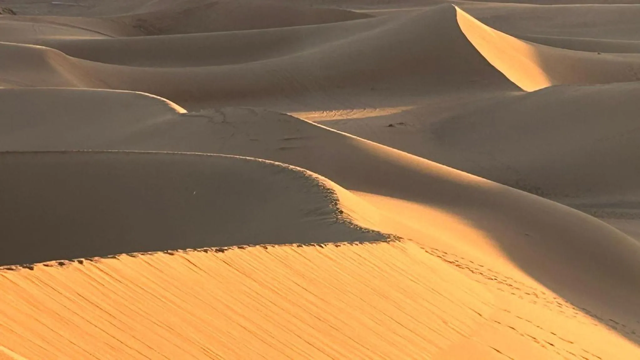 Natural landscape in Riad Assia Foum Zguid