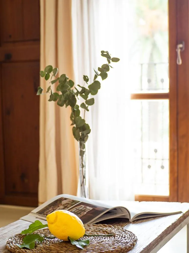 Other in Hotel & Restaurant Jardi d'Artà