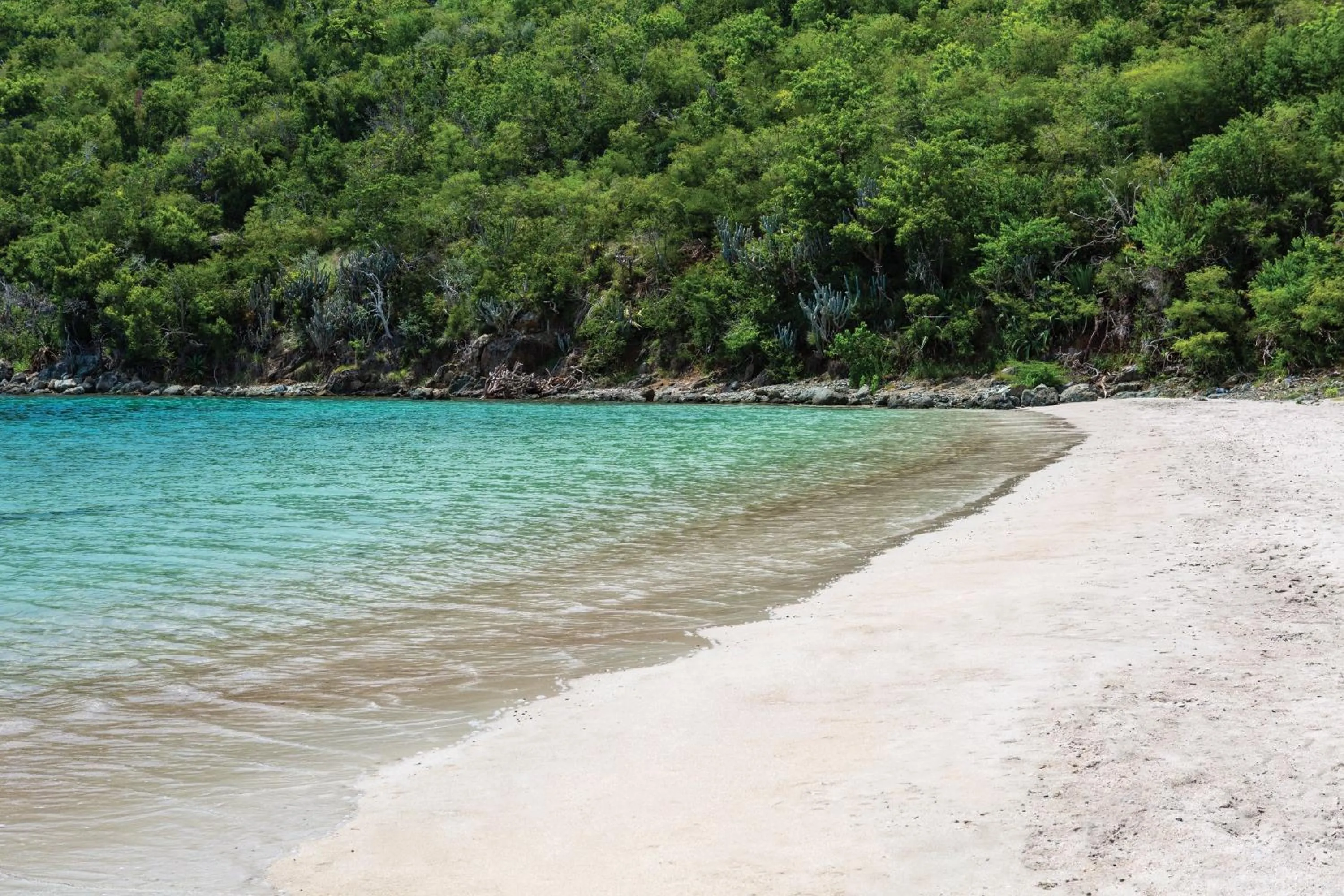 Beach in The Westin St. John Resort Villas