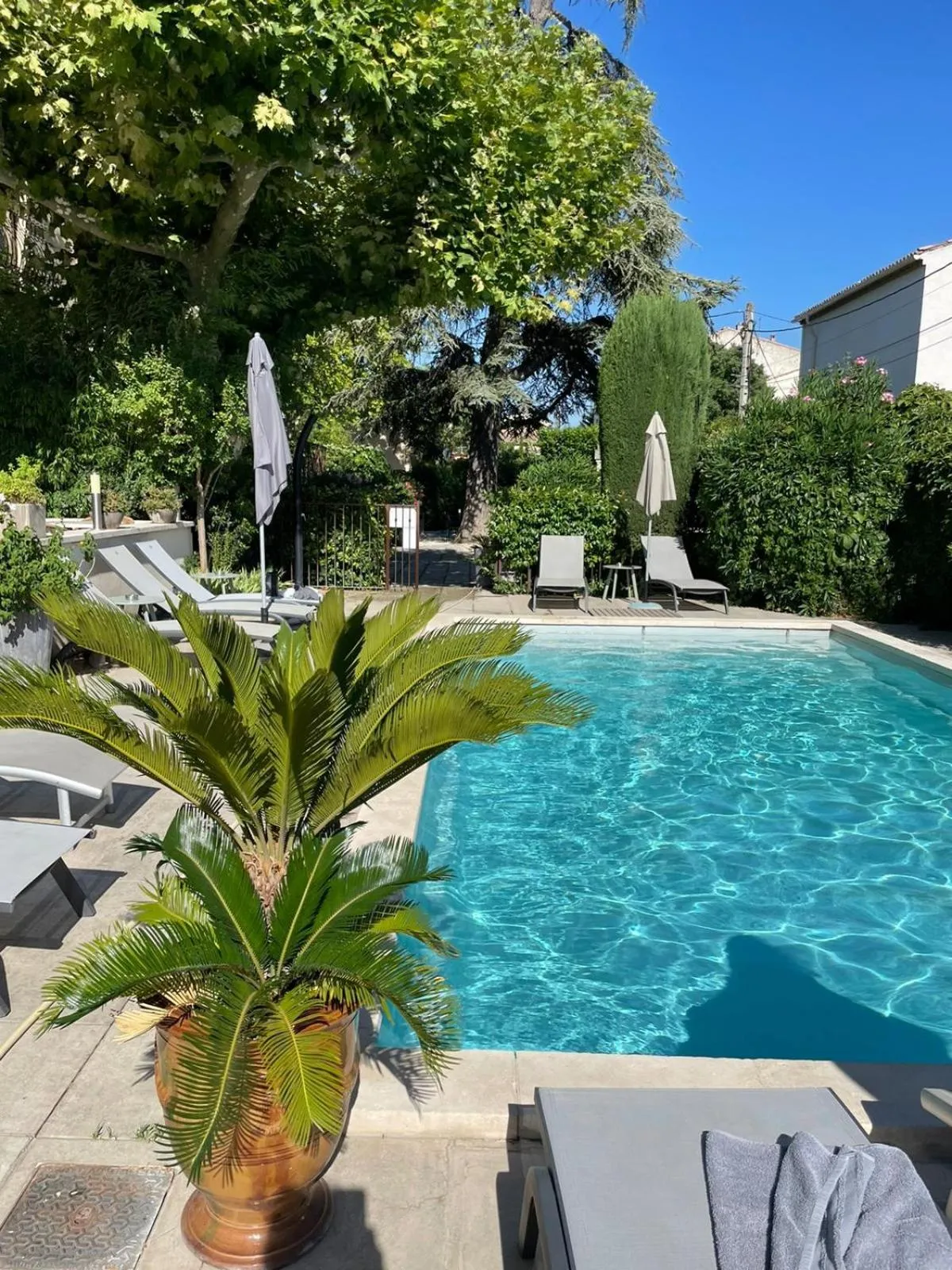 Swimming pool in Le Castelet des Alpilles