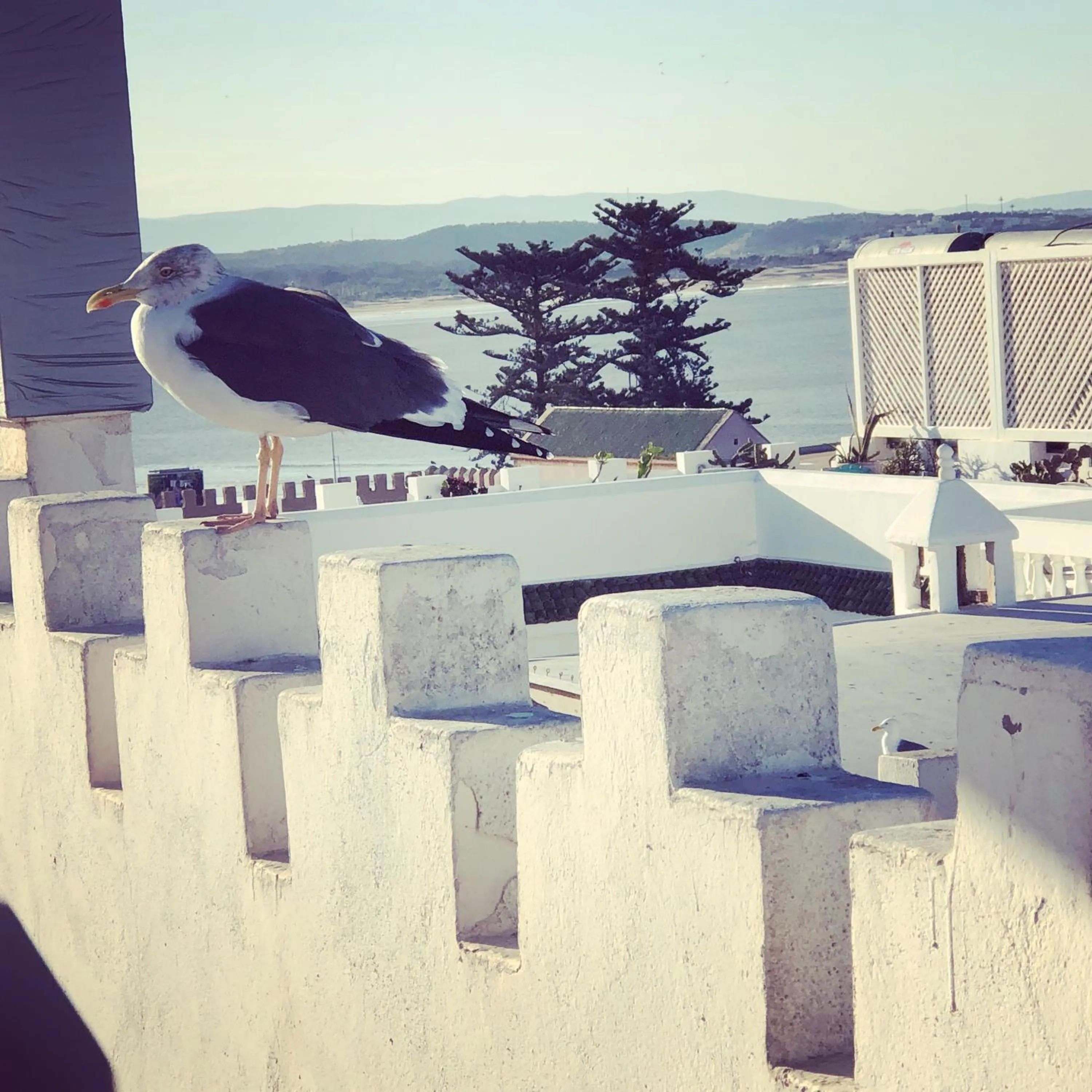 Sea view in Riad De La Mer
